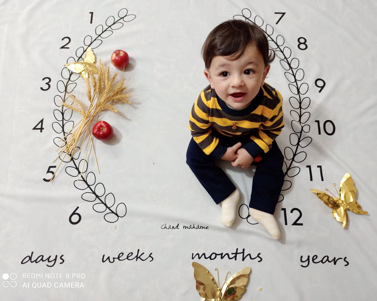 عکس سیزده بدر محمدهادی فردی