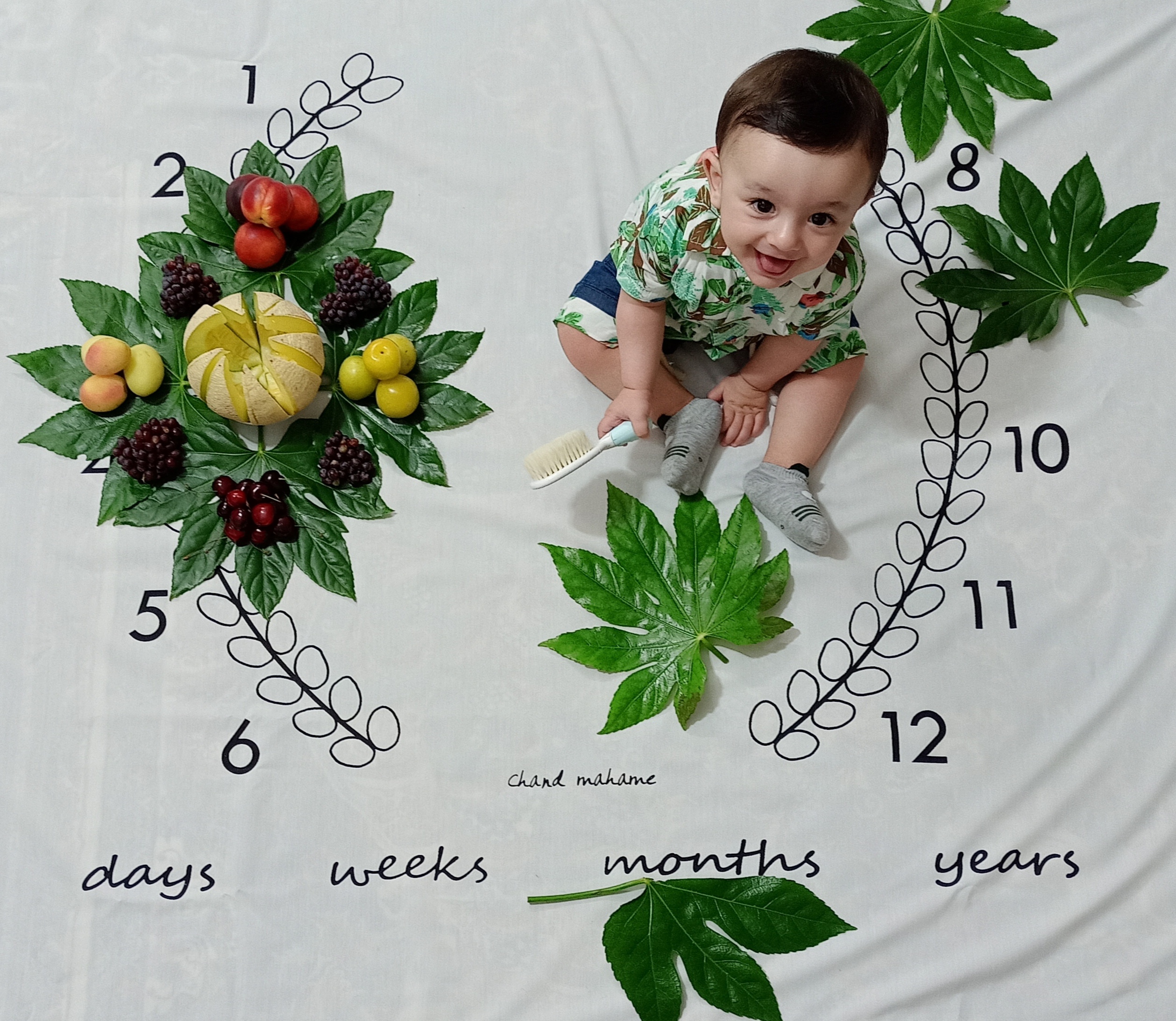 هفت ماهگی نوزاد محمدهادی فردی