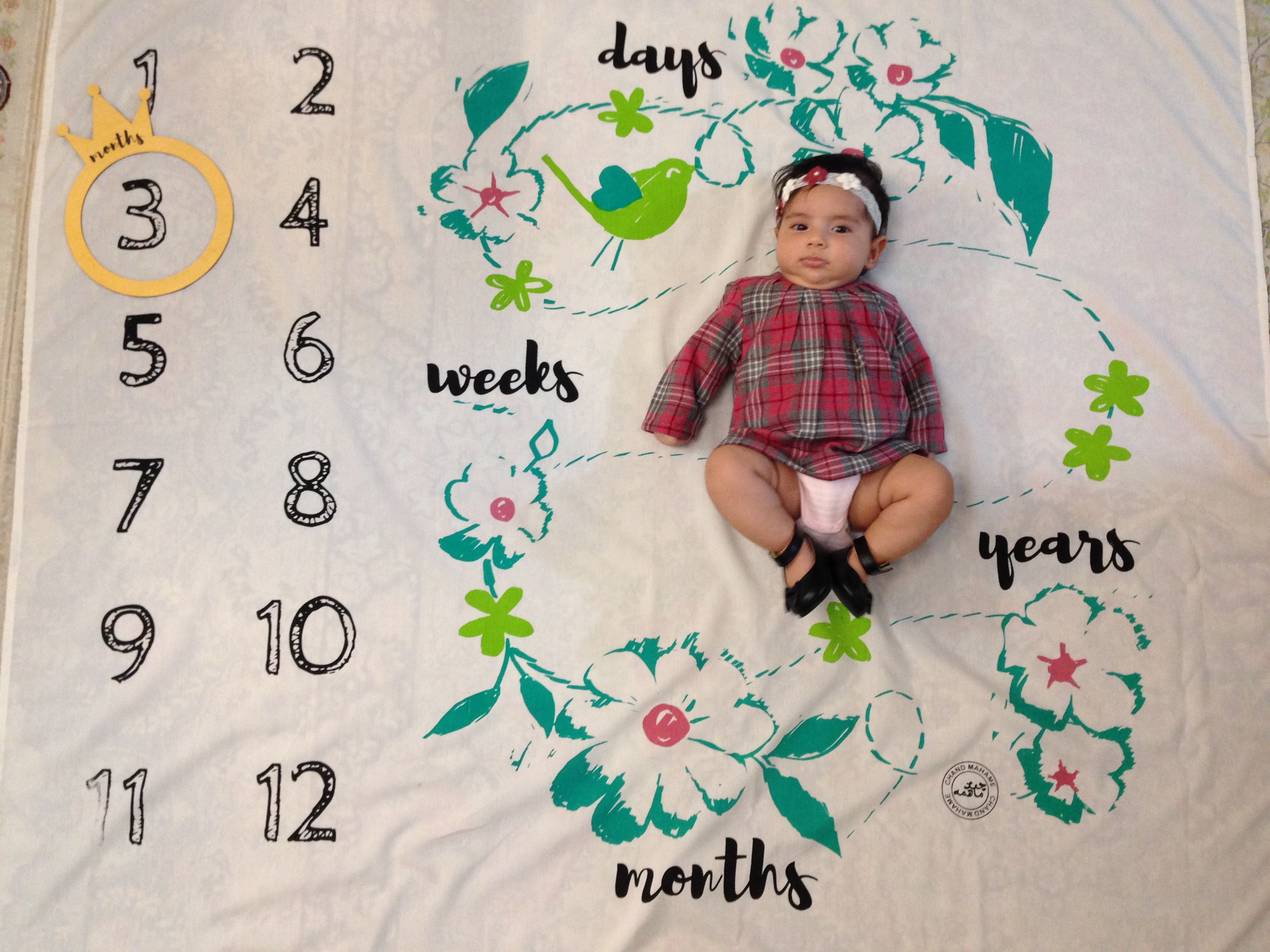 سه ماهگی نوزاد نيكا جواهرى