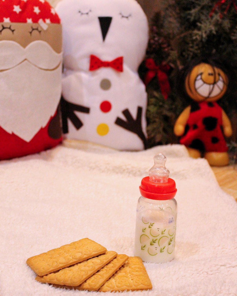 تم عکس زمستانی نوزاد گلشا معرفت