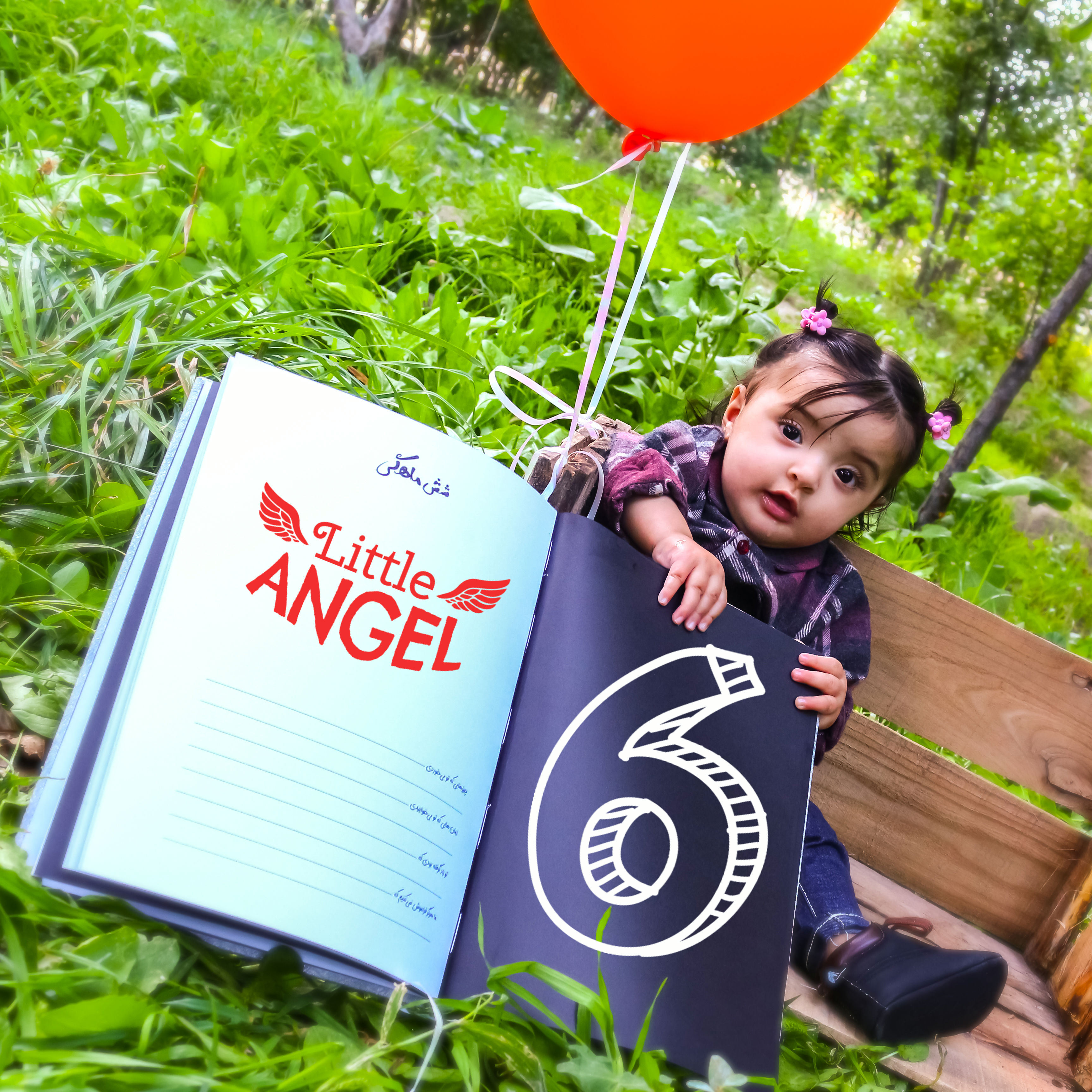 شش ماهگی نوزاد گلشا معرفت