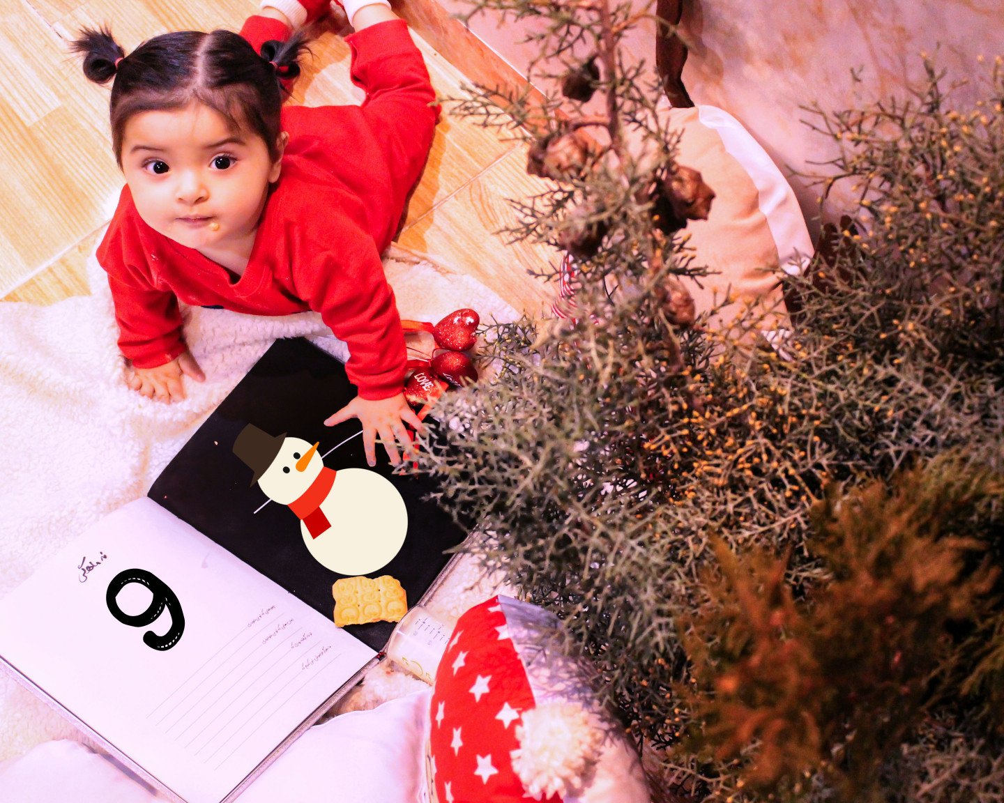 تم عکس زمستانی نوزاد گلشا معرفت