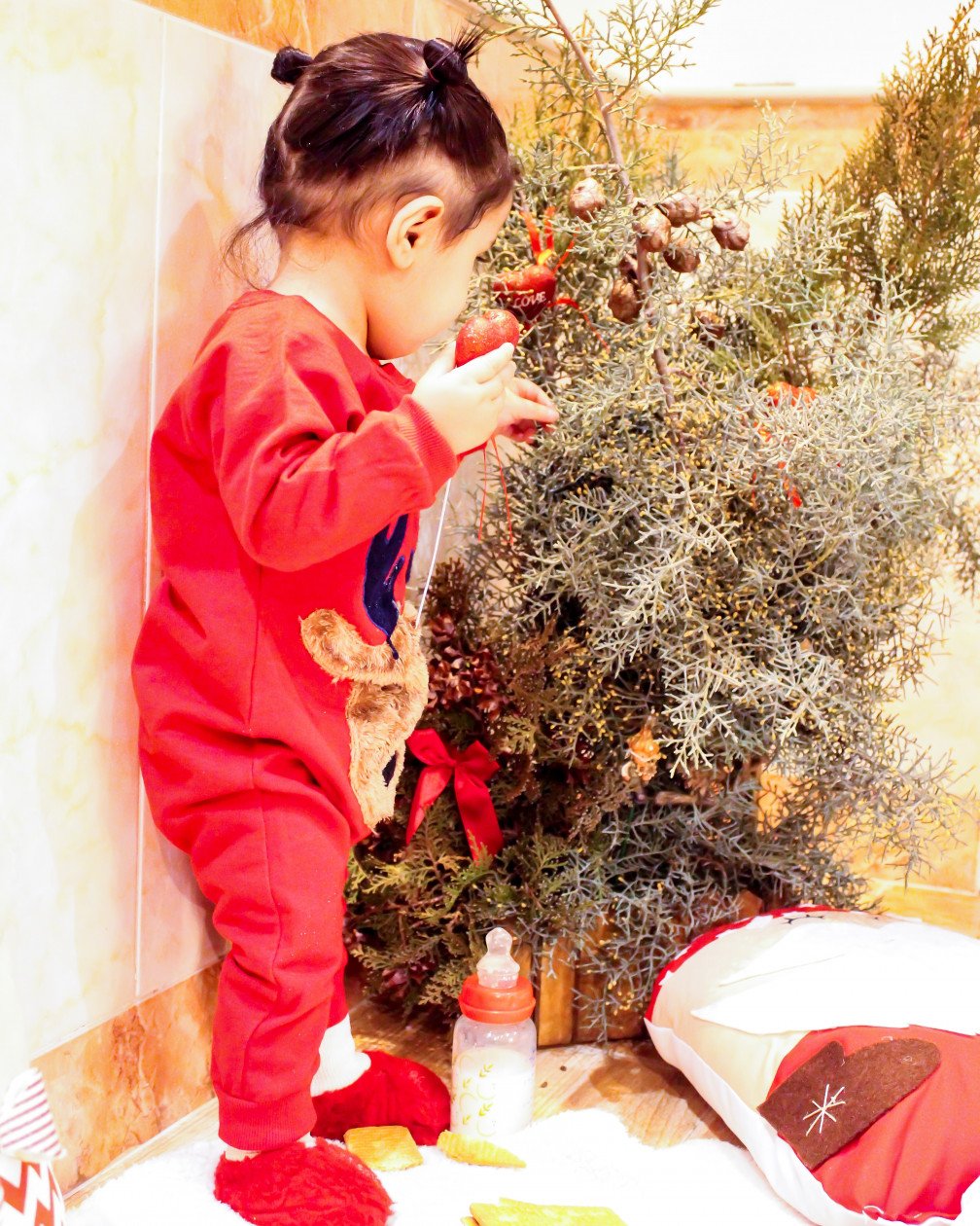 جشن کریسمس کودک گلشا معرفت