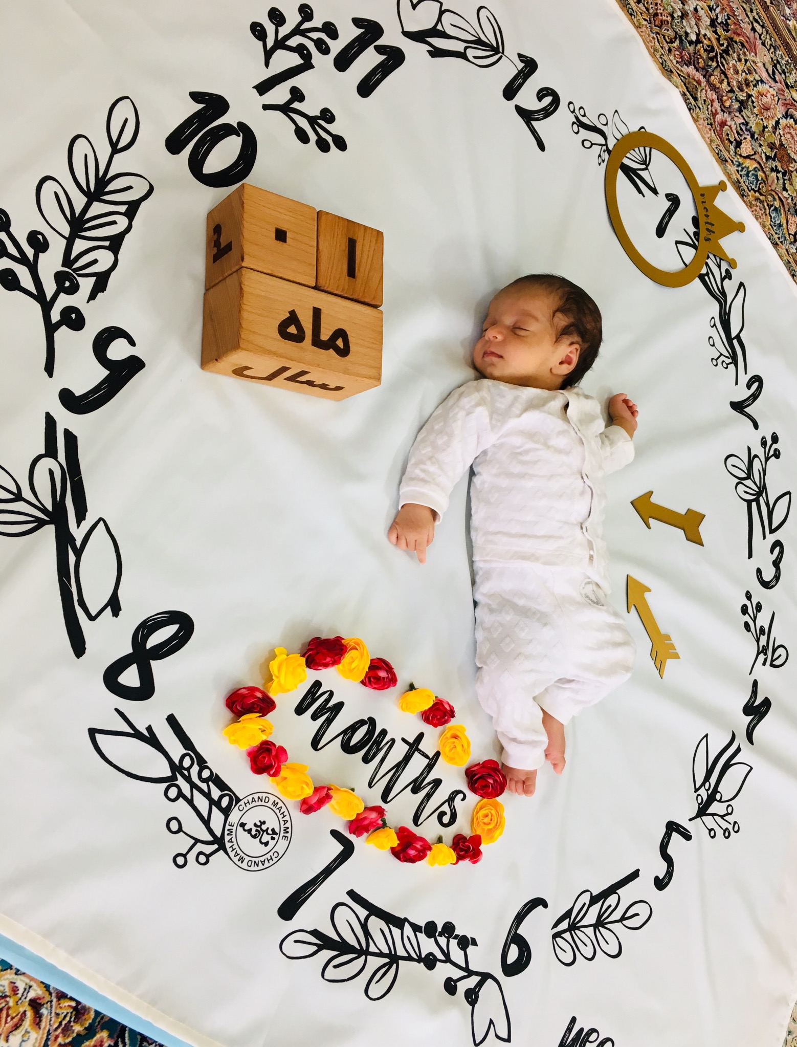 پارچه ماهگرد طرح حلقه تمشک سامیار صاحبی