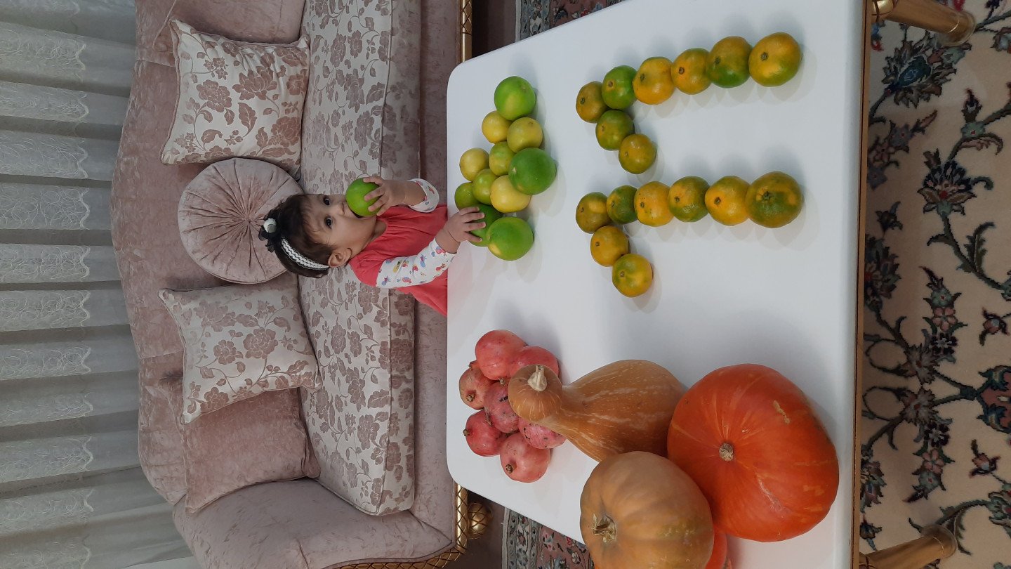 یازده ماهگی نوزاد آلا عسکریان