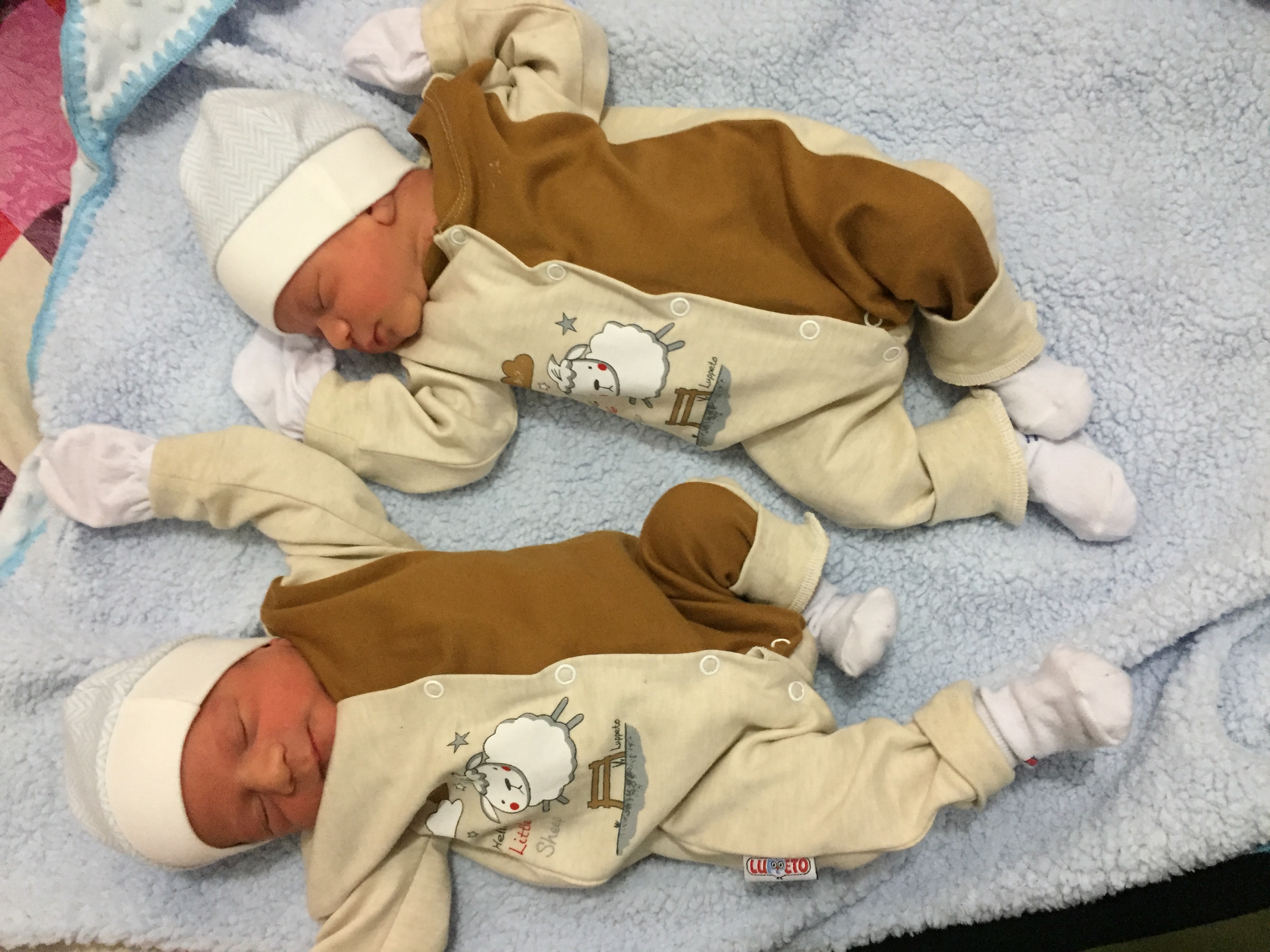 شب یلدا کودک رادین و رایان