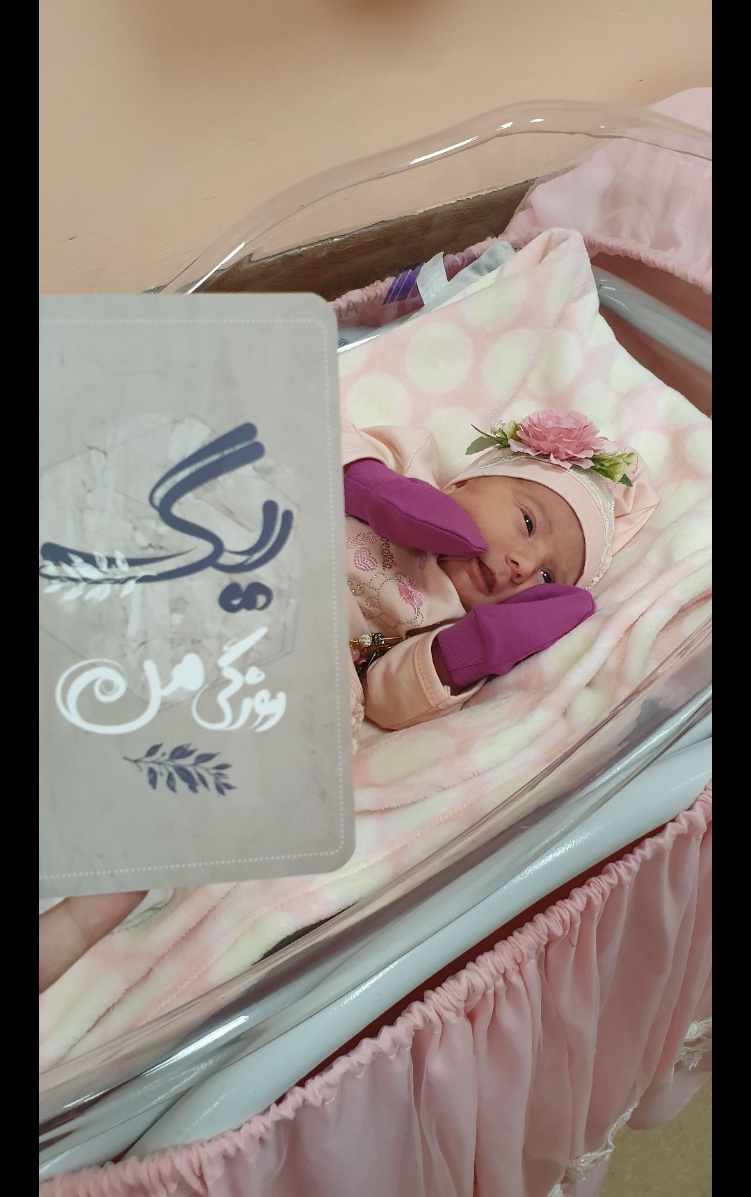 کارت خاطرات اولین ها رادین و آیلین اسکندرزاده