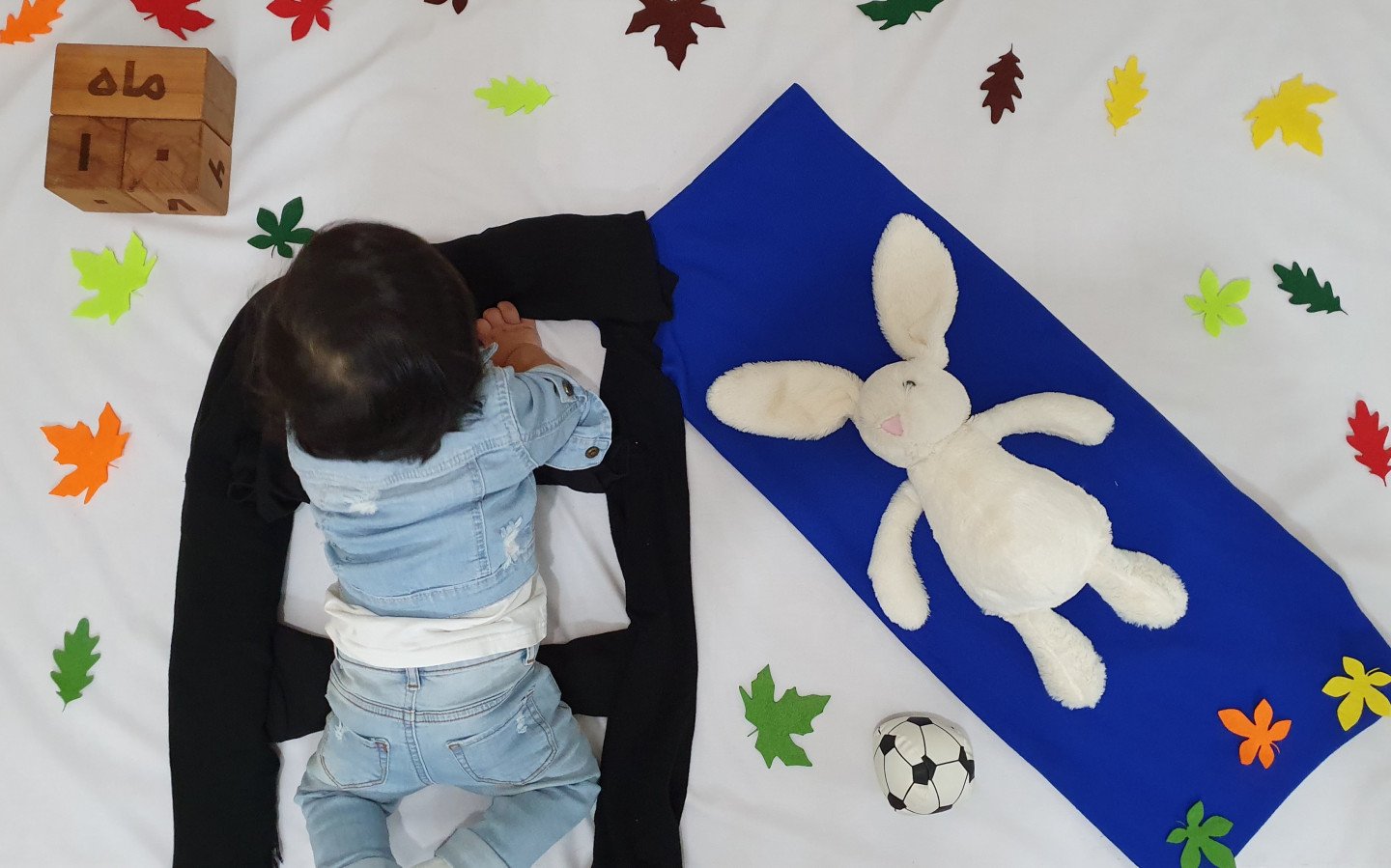 ده ماهگی نوزاد رادین و آیلین اسکندرزاده