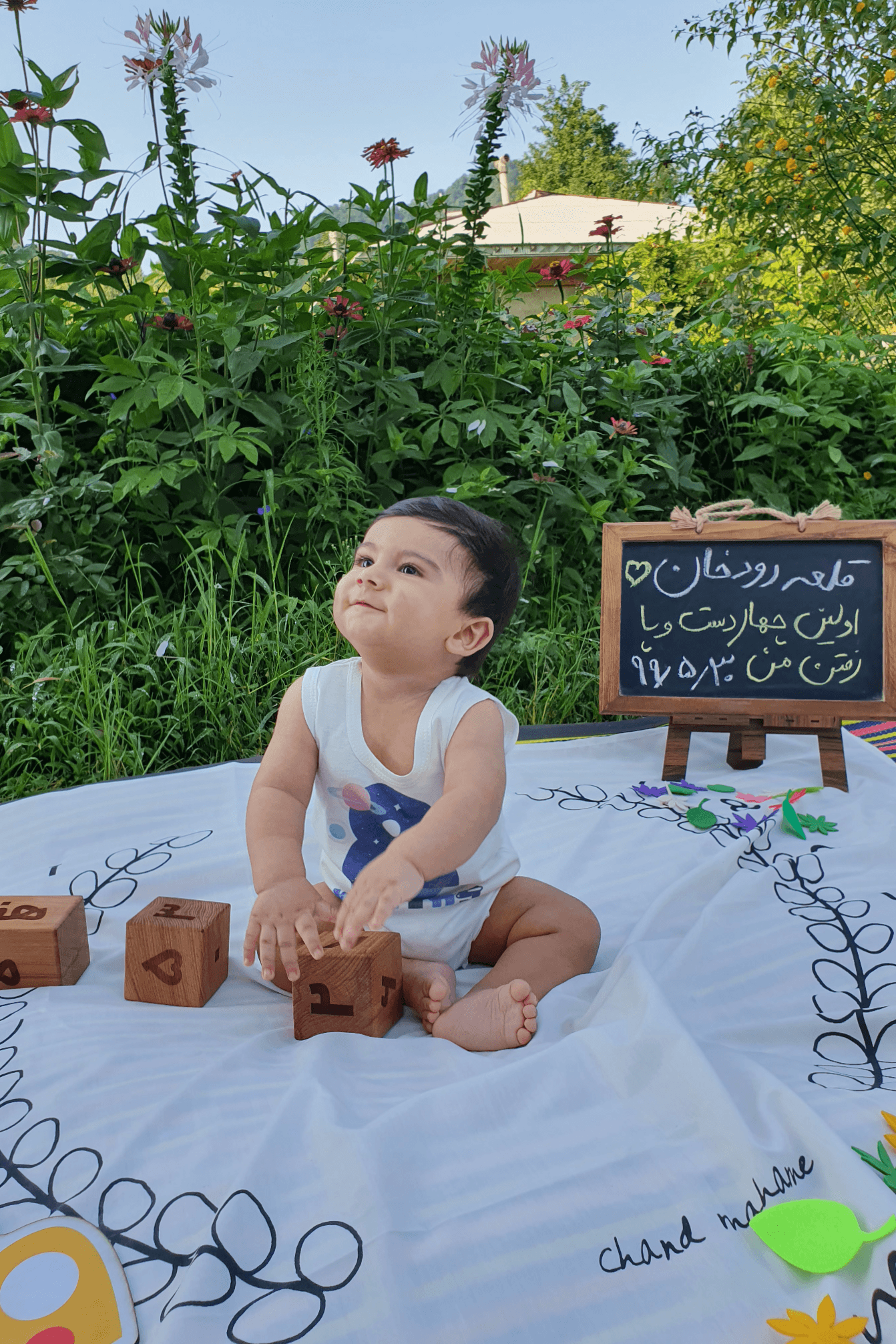 خانه-و-دکور-20326