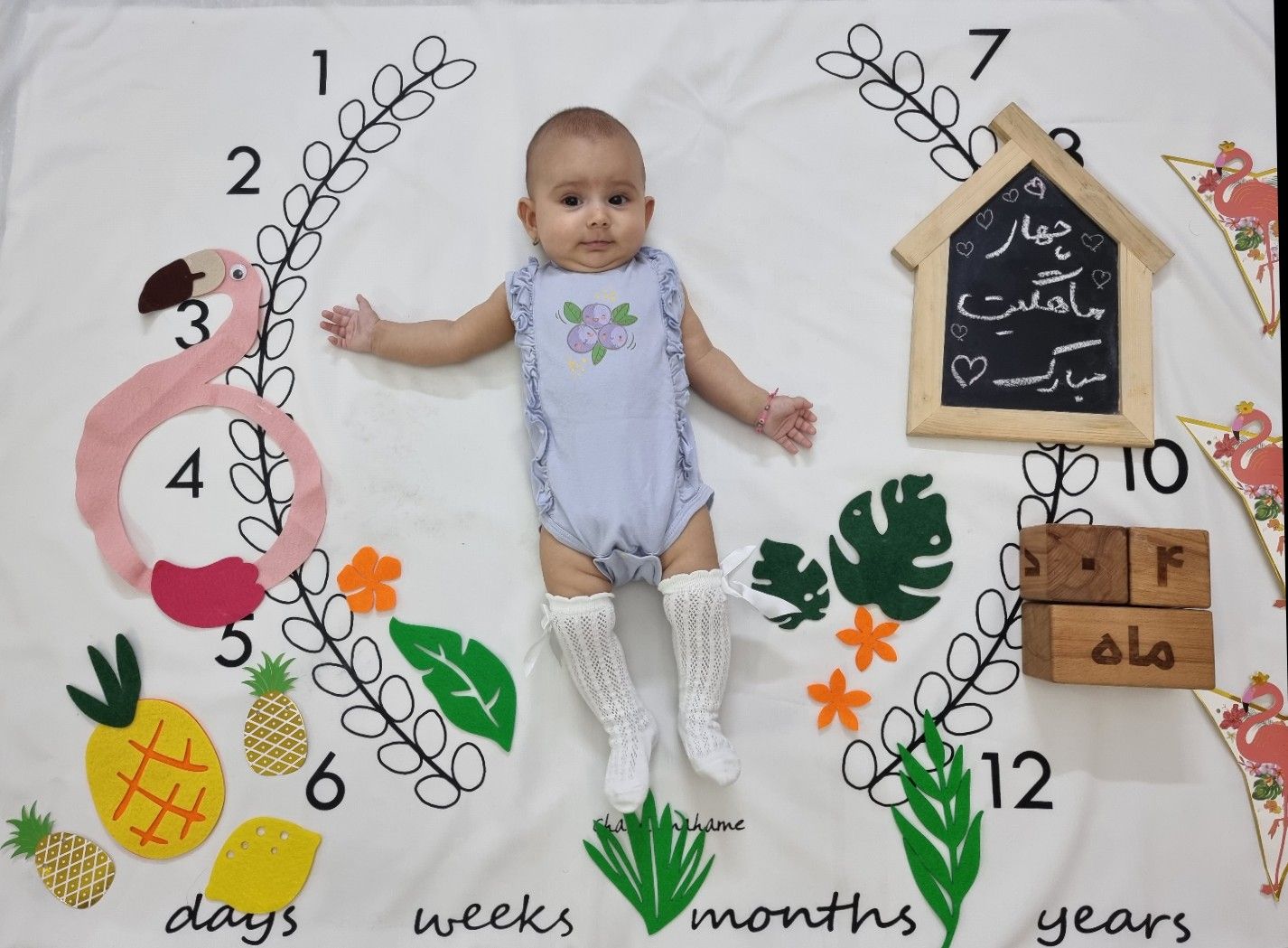 چهار ماهگی نوزاد رادین و آیلین اسکندرزاده