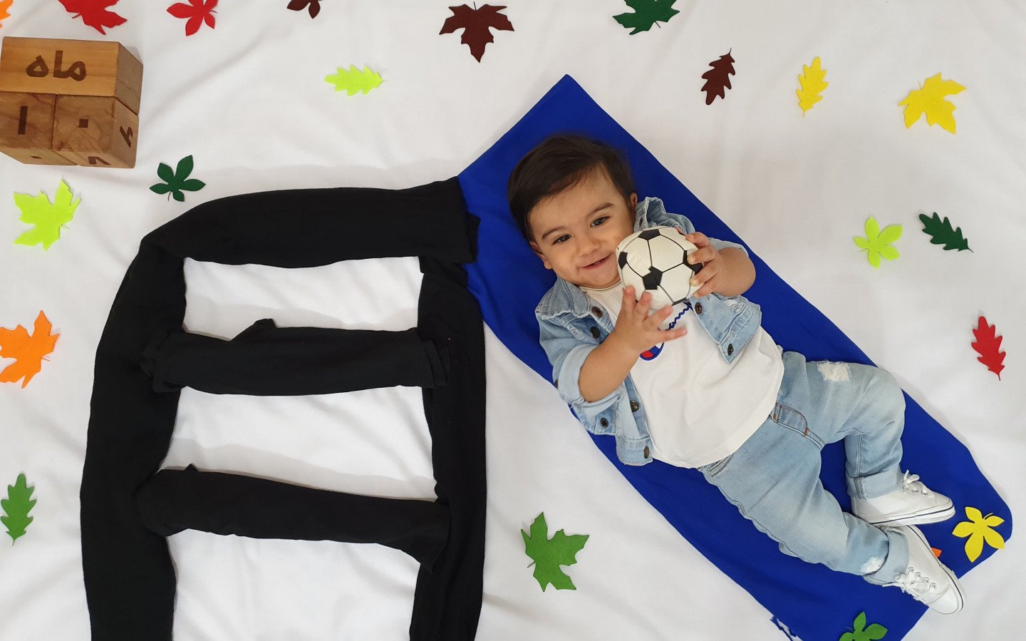 تم و تزیینات نمدی طرح گل و برگ رادین و آیلین اسکندرزاده