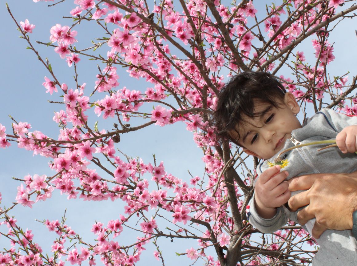پانزده ماهگی کودک رادین و آیلین اسکندرزاده