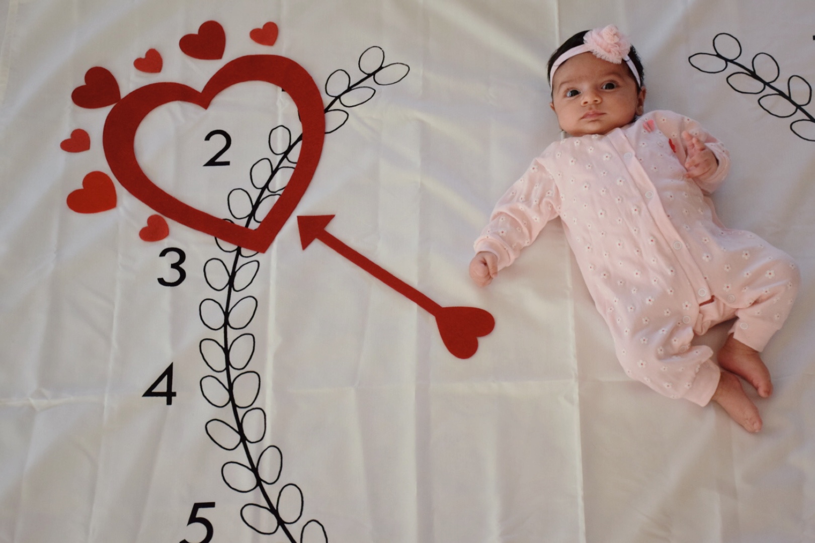 تم عکاسی بهاری آوين تاج الدين