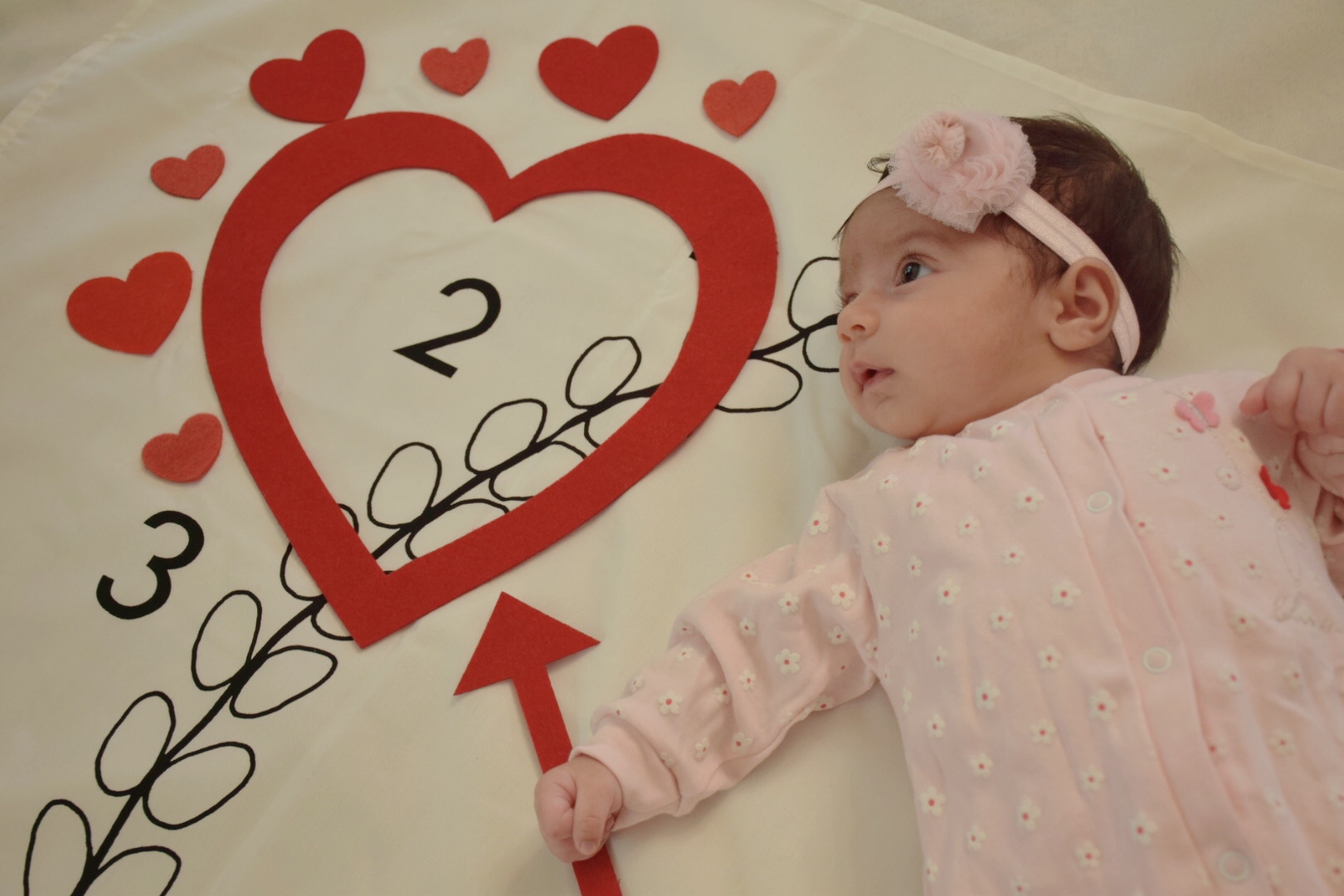 تم-و-تزیینات-عاشقانه-5908