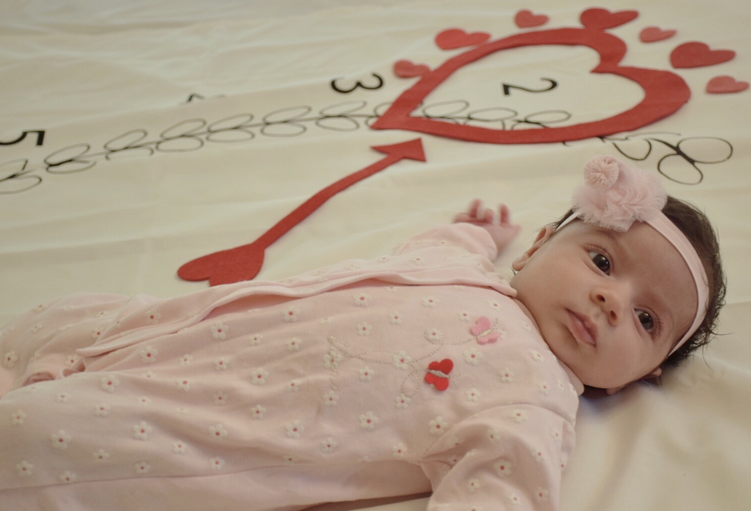 پارچه ماه شمار طرح شاخه زیتون آوين تاج الدين