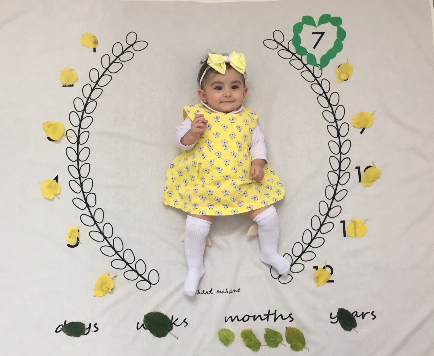 پارچه خاطره ها همتا حسن بابایی