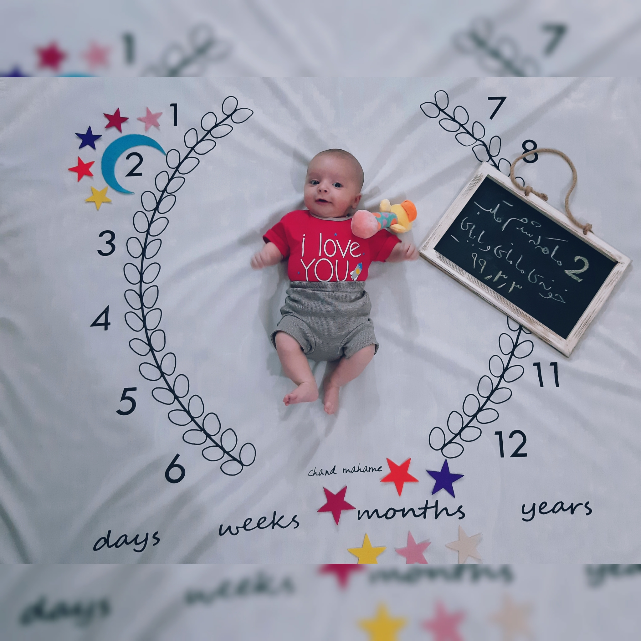 تم عکس بهاری کودک آراد اکبرزاده