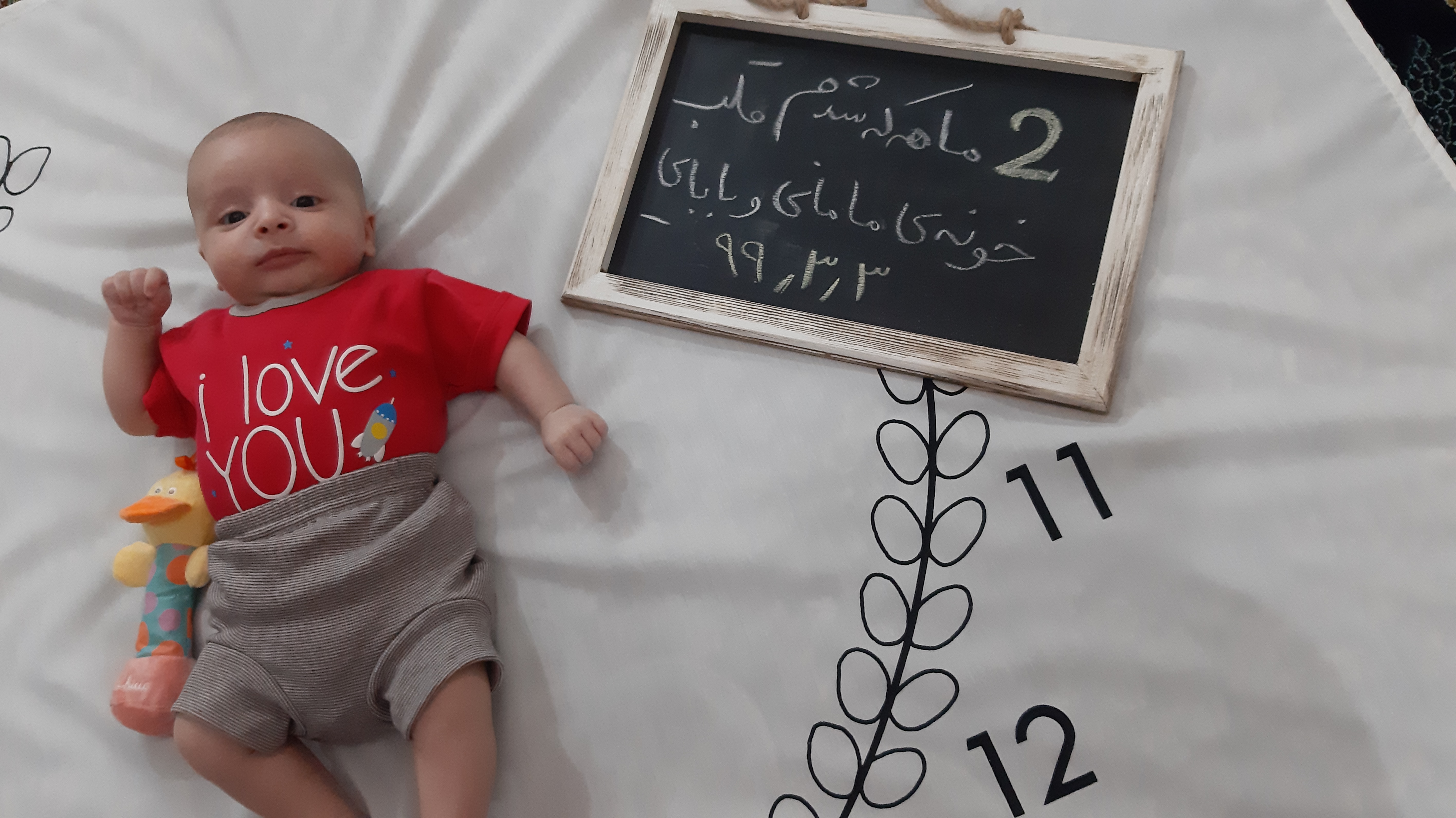 سیزده ماهگی کودک آراد اکبرزاده