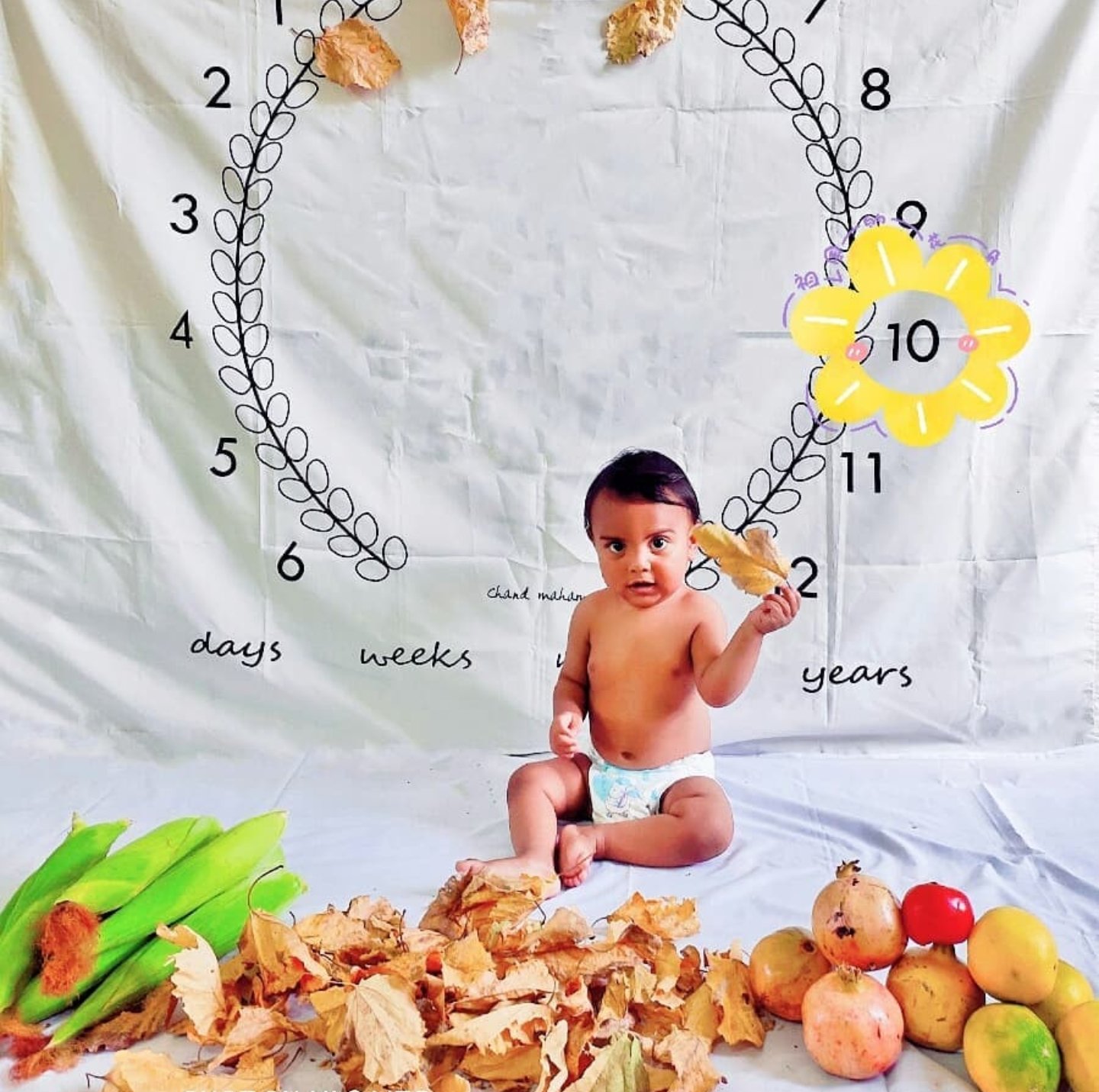 تم عکس پاییزی نوزاد آدریان آزادیان