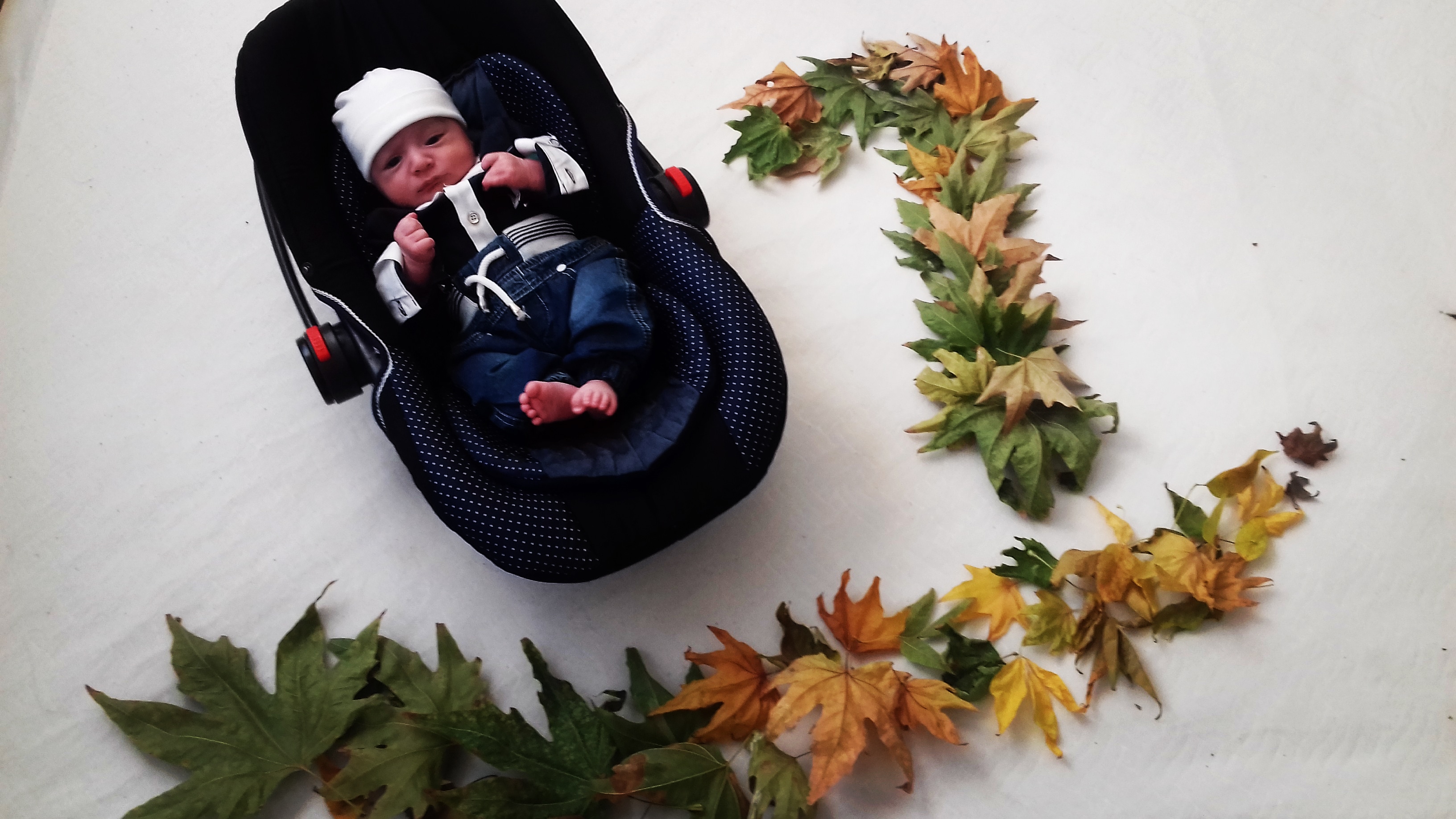 جشن کریسمس کودک نویان لطیفی