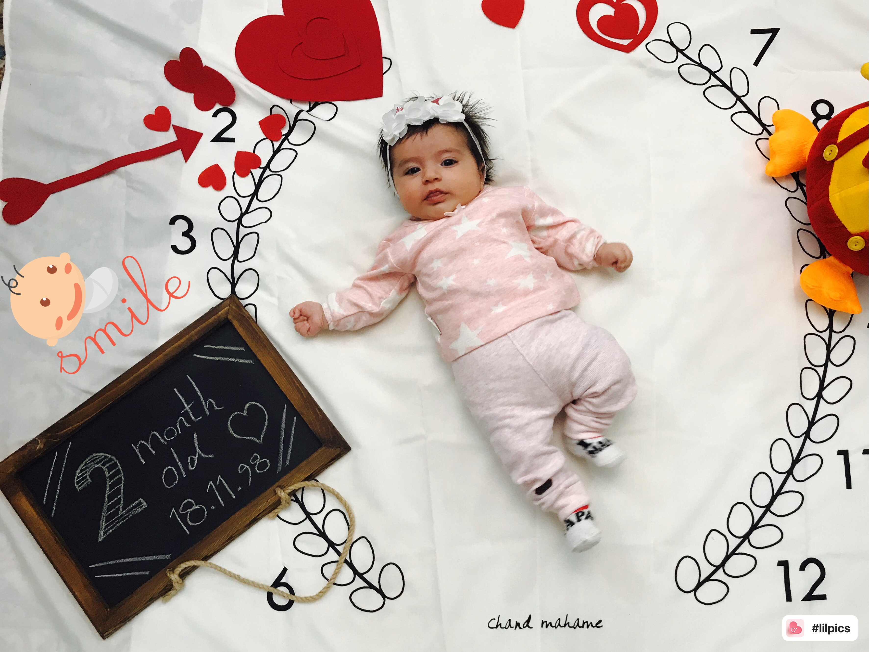 تم و تزیینات عاشقانه نیکی یزدانی