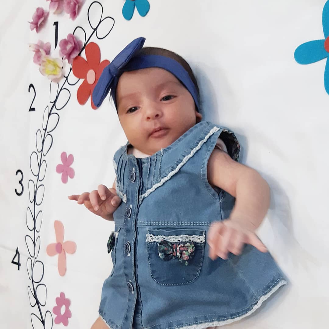 تم-عکاسی-گل-و-بلبل-9595