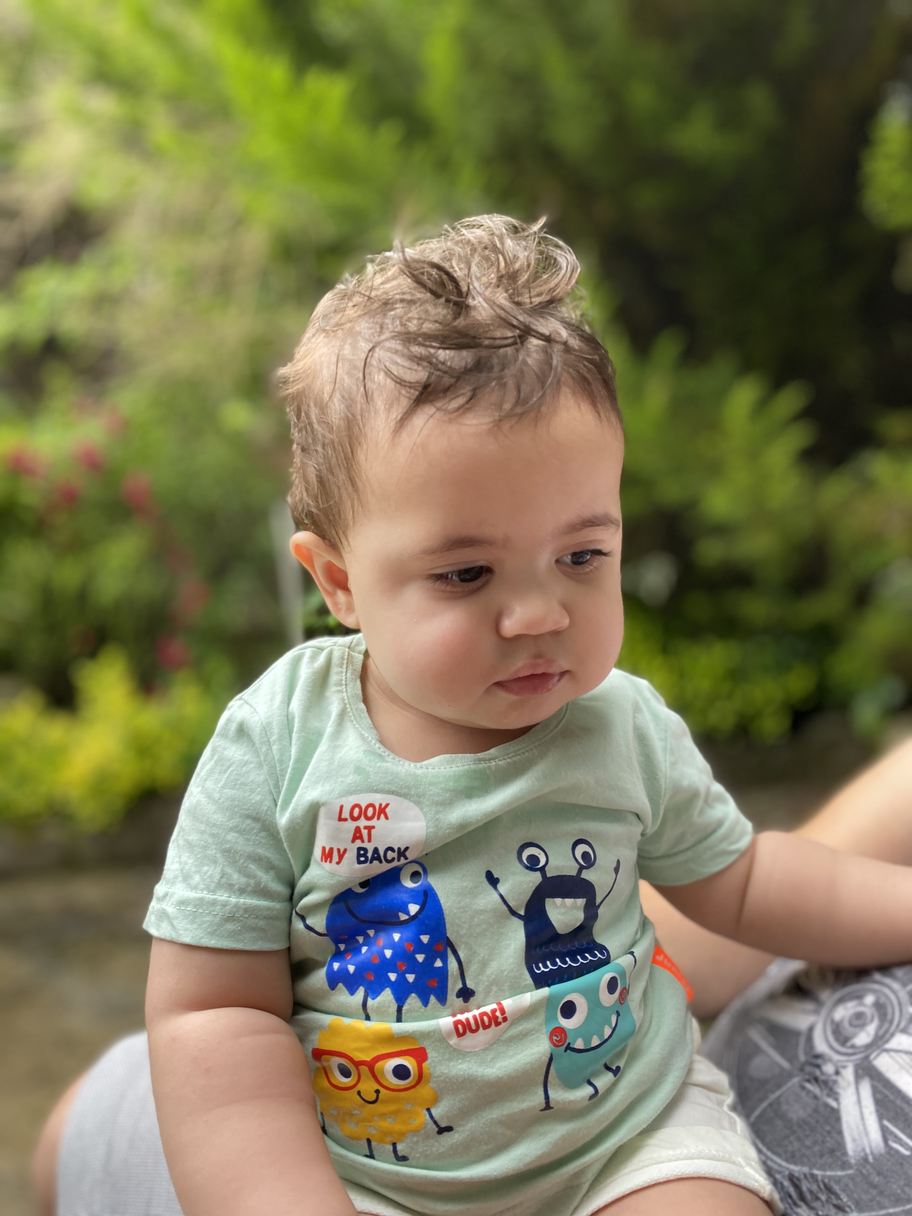 دوازده ماهگی نوزاد آراد ناظری