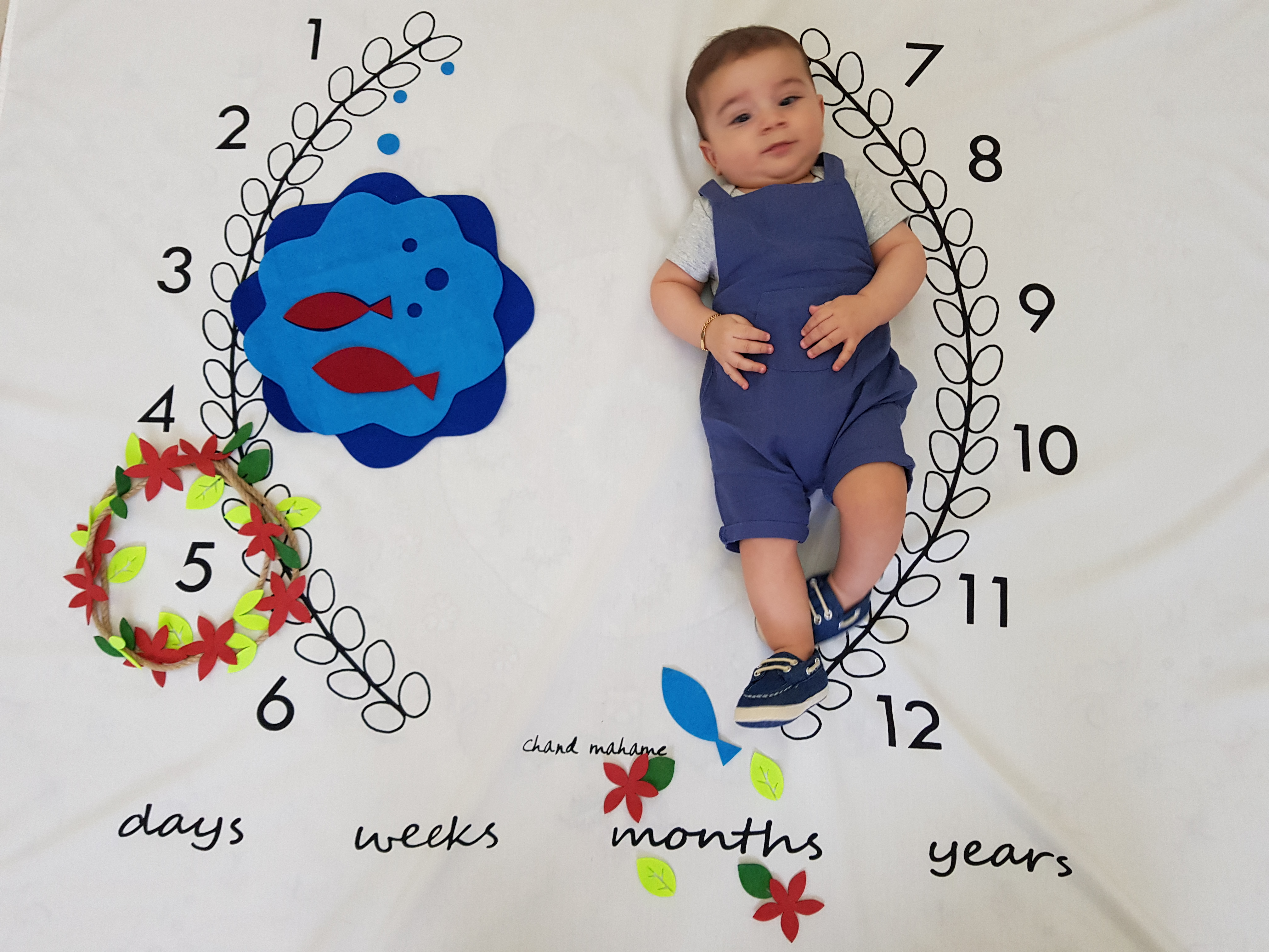 شروع غذای کمکی سید آرش غفاری