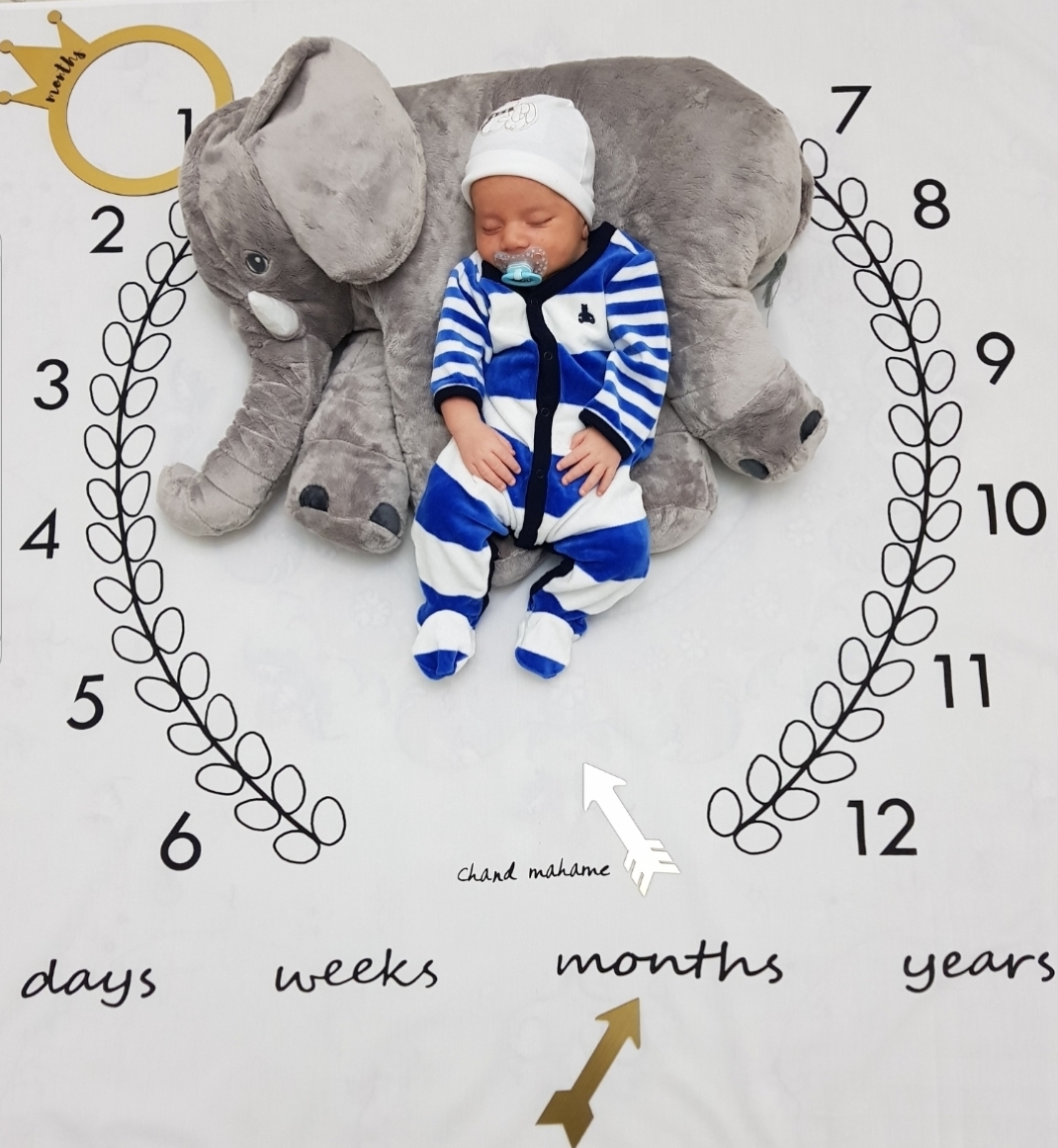 نشانگر ماهگرد تاج طلایی سید آرش غفاری