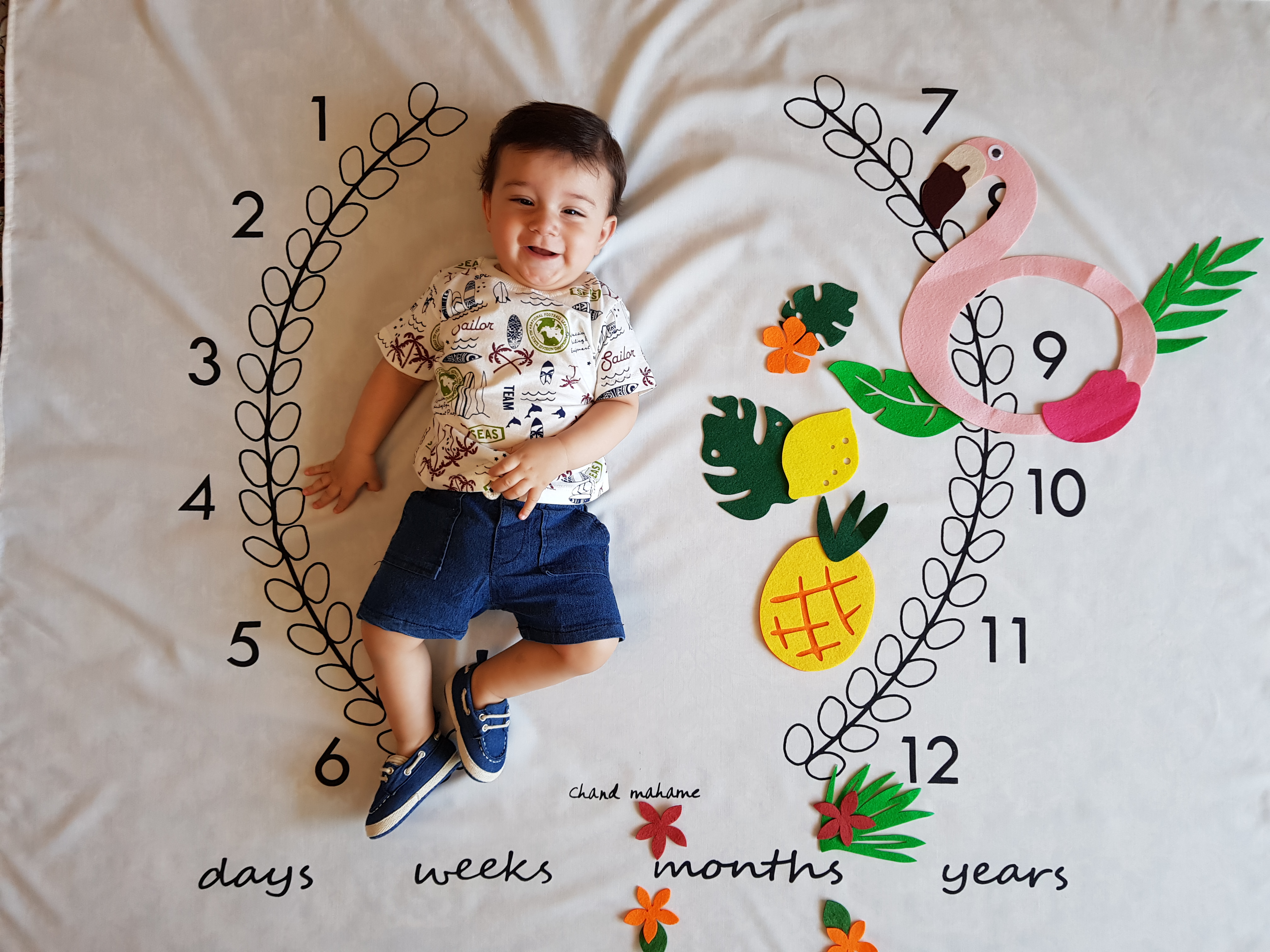 تم تابستانی سید آرش غفاری