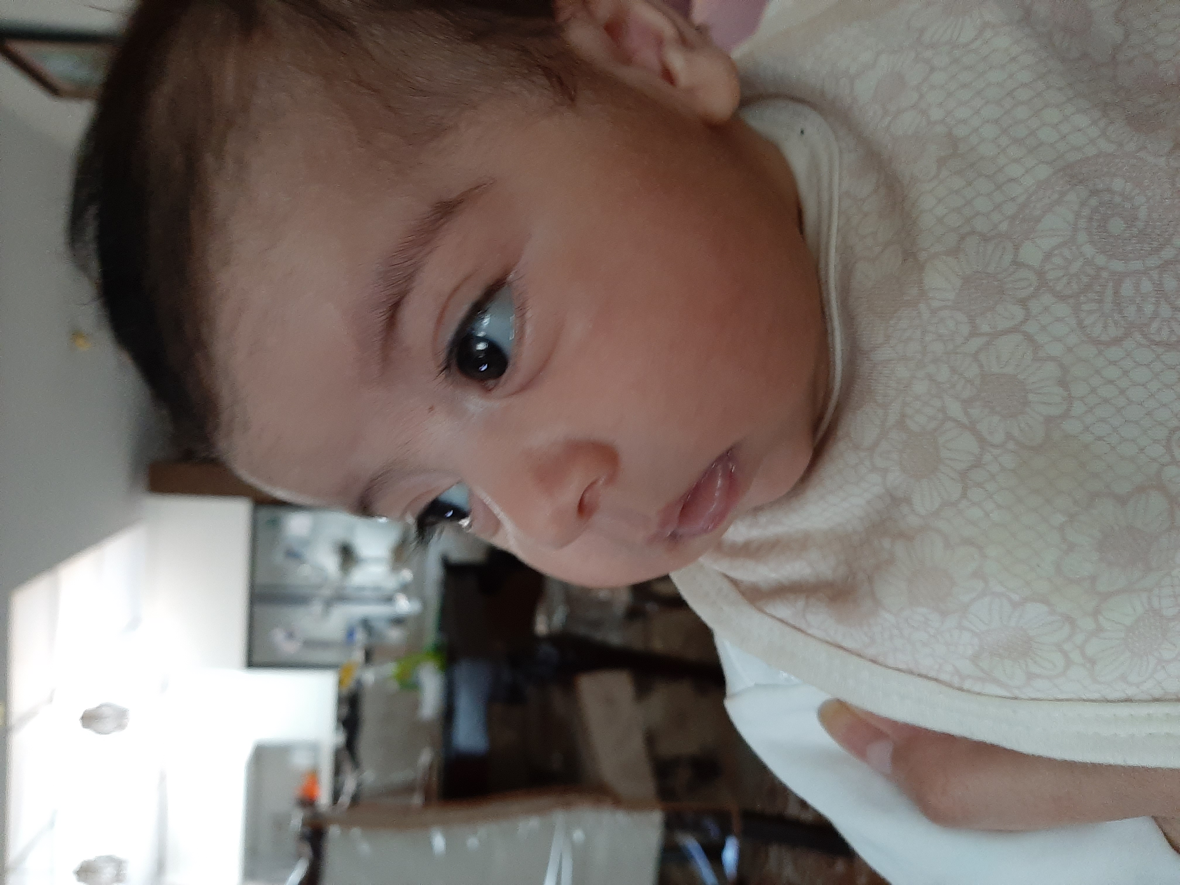 تم عکس زمستانی نوزاد هانا عربگری