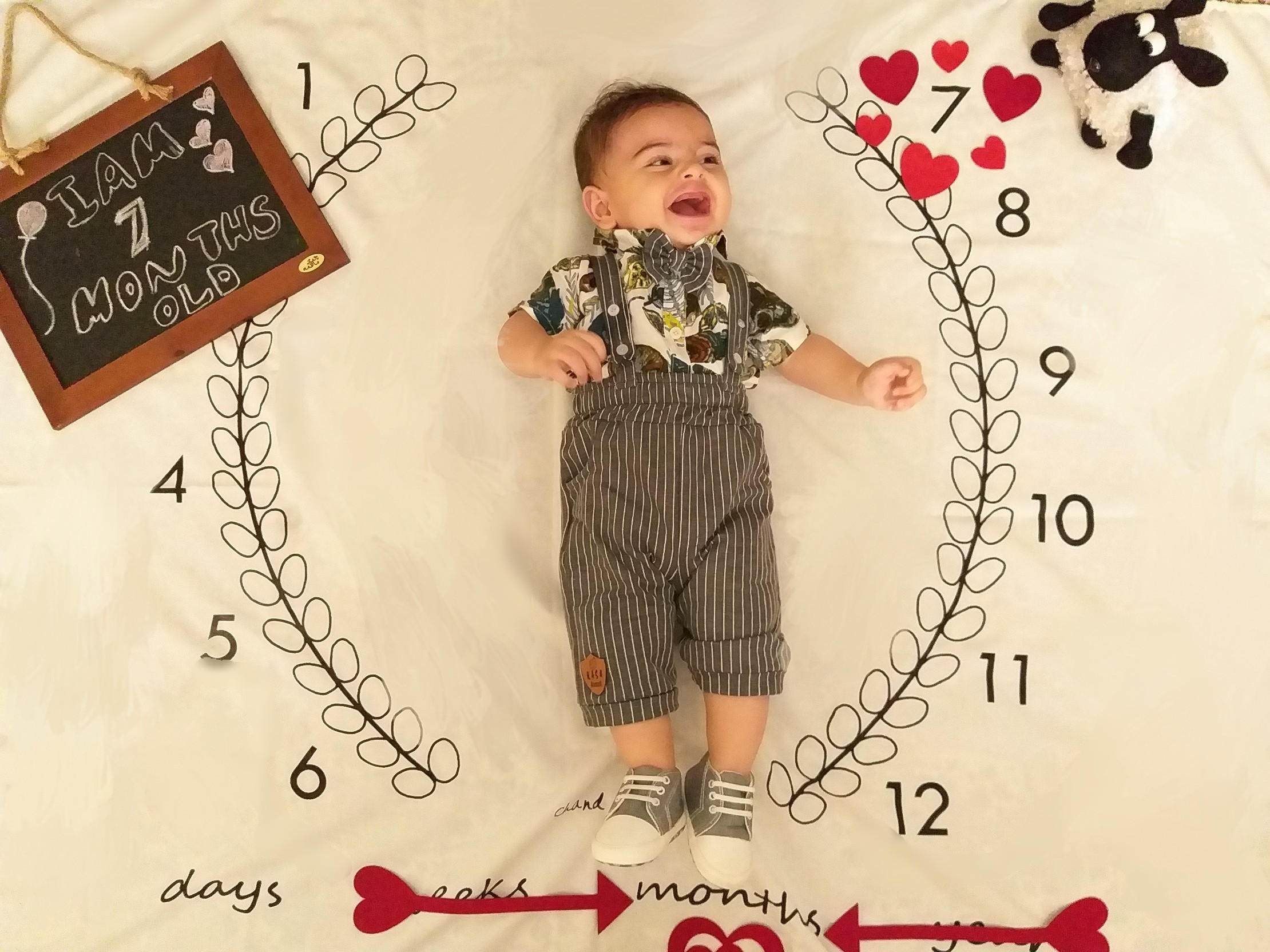 دوازده ماهگی نوزاد سید مهراد حسینی