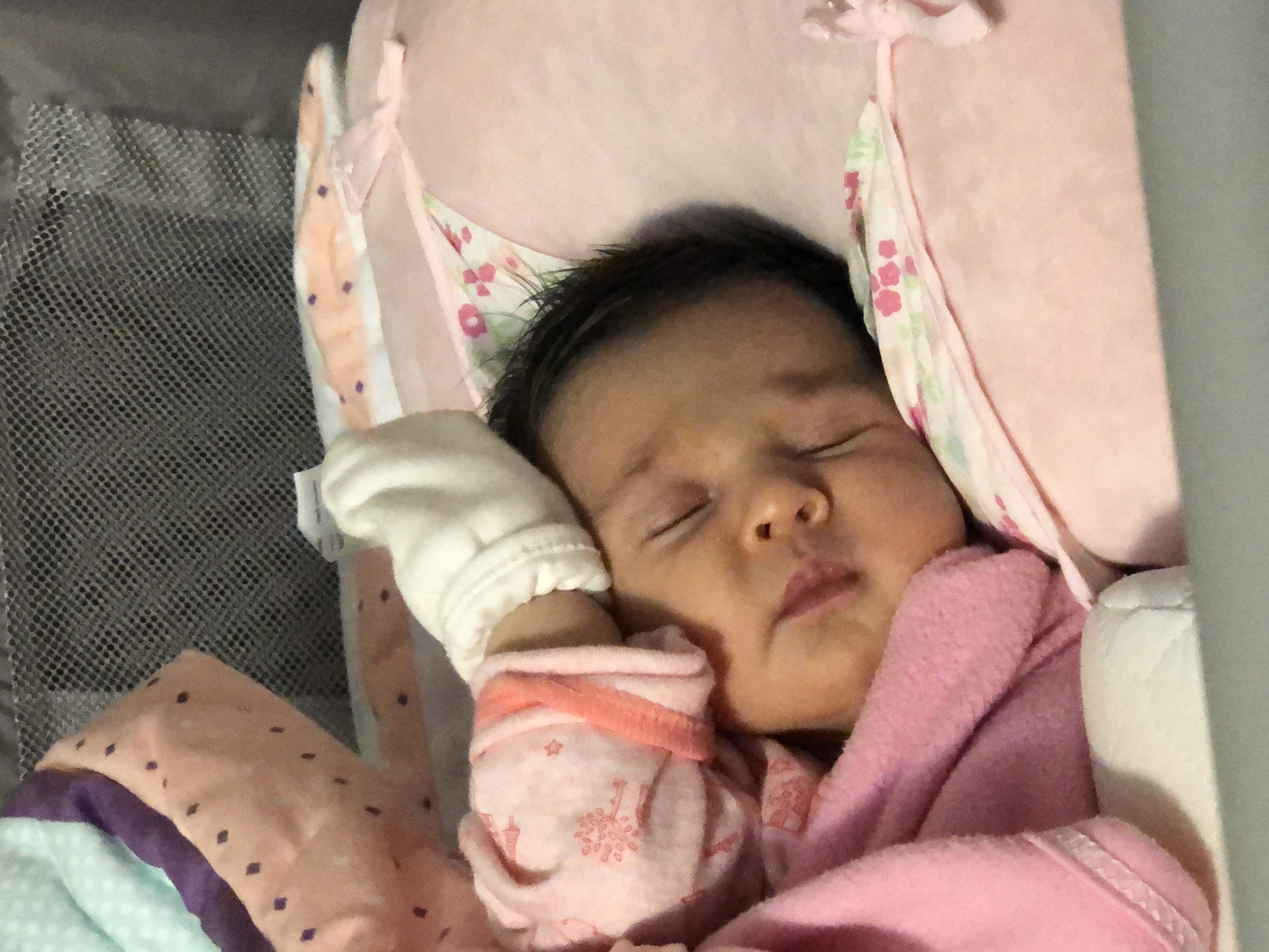 تم عکس زمستانی نوزاد نيلايوسفي