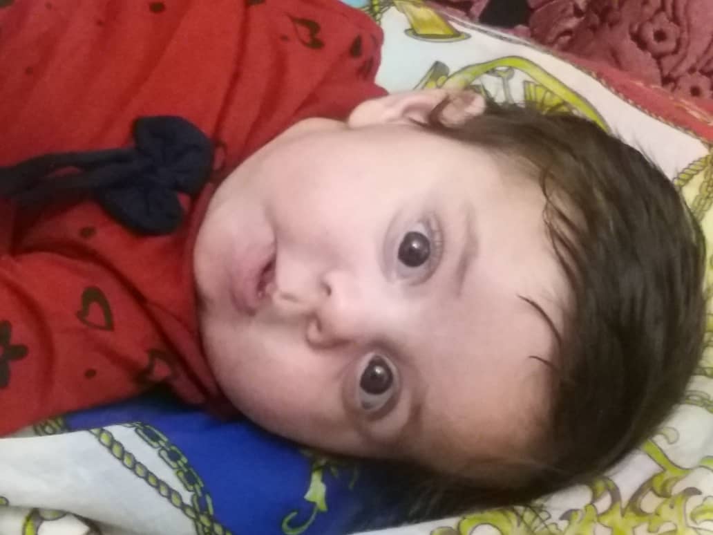 پارچه ماه شمار طرح شاخه زیتون باران باقری پژو