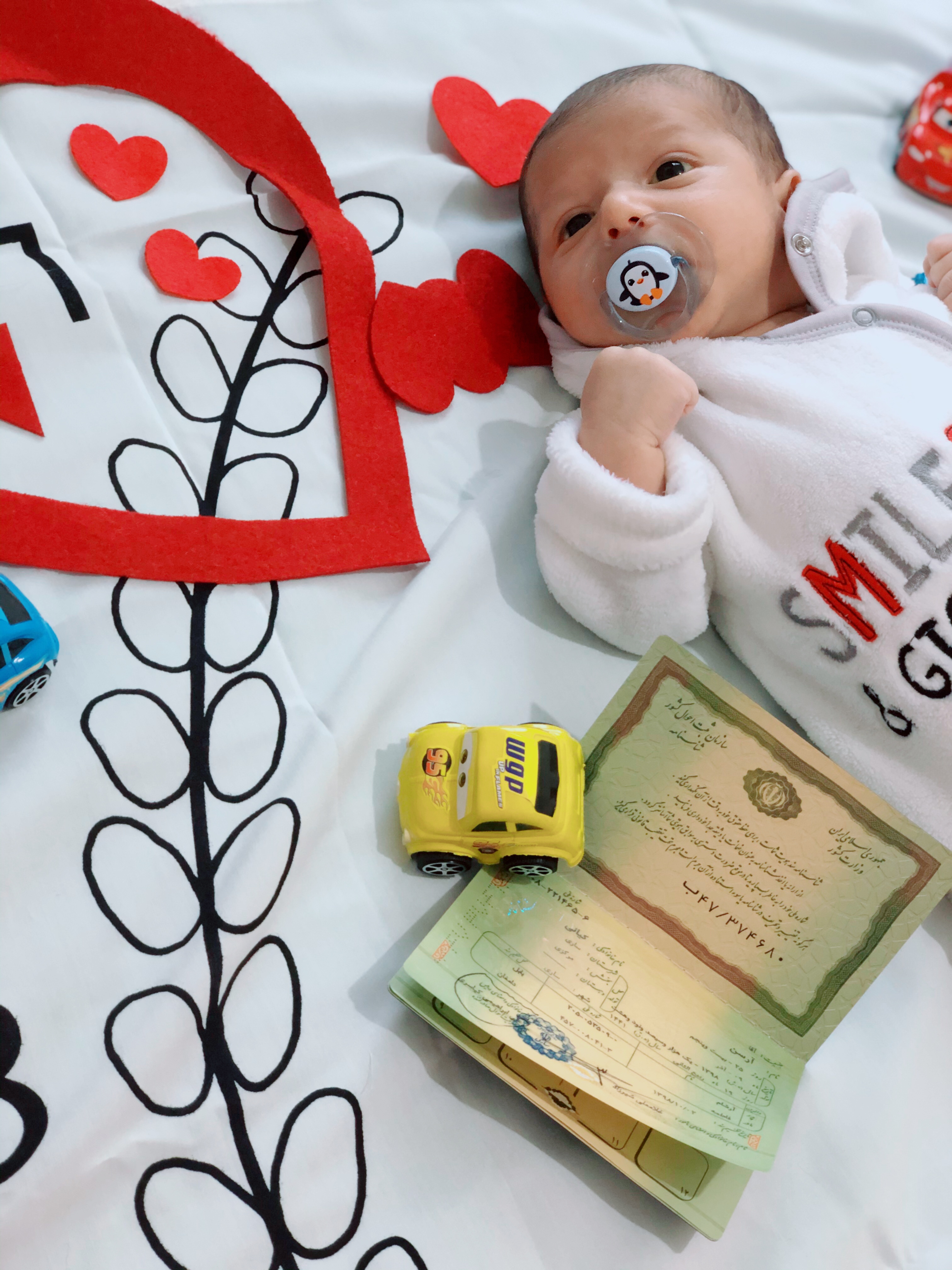 تم-های-عکاسی-8088