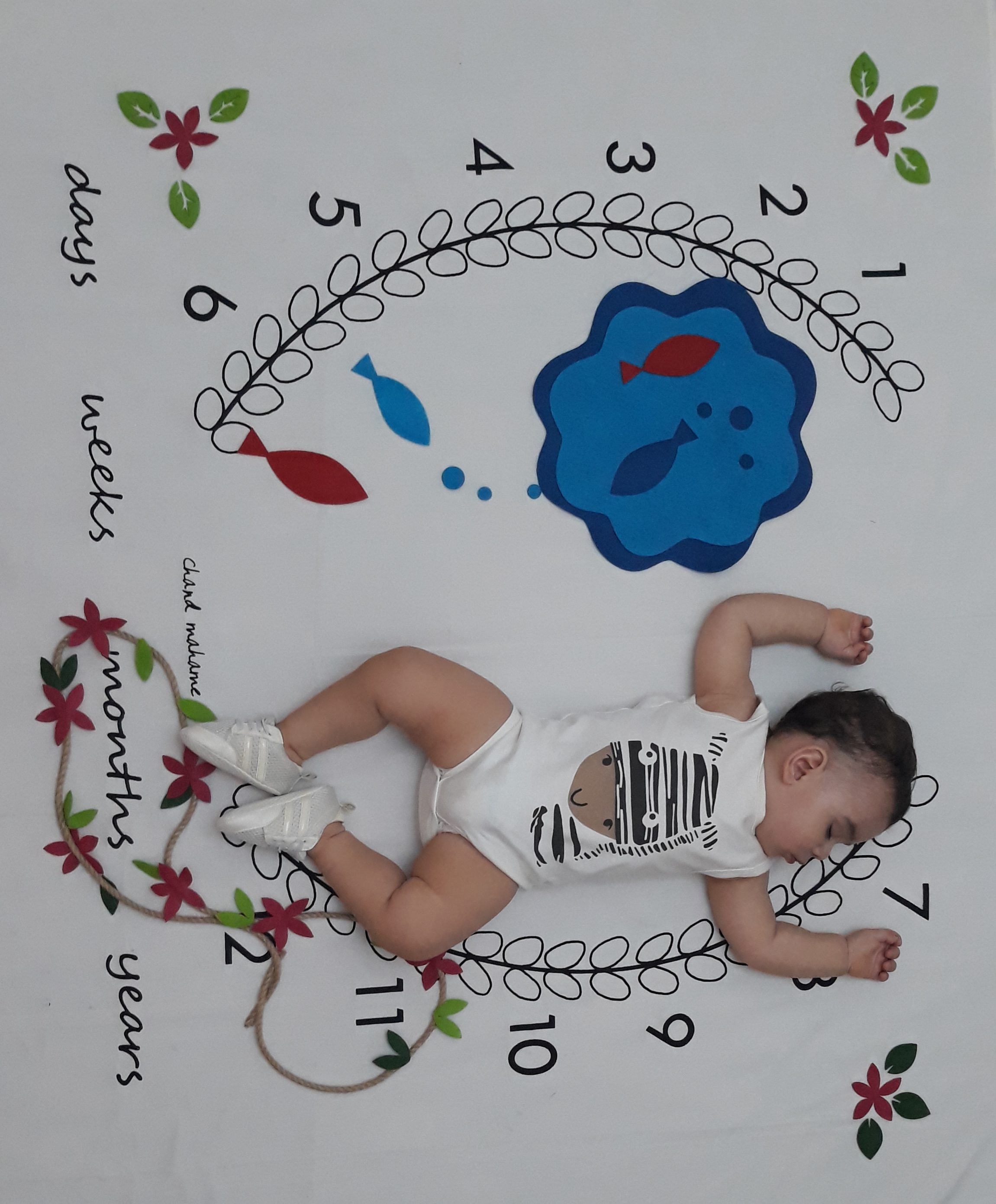 تم عکاسی بهاری آرتا عابدینی