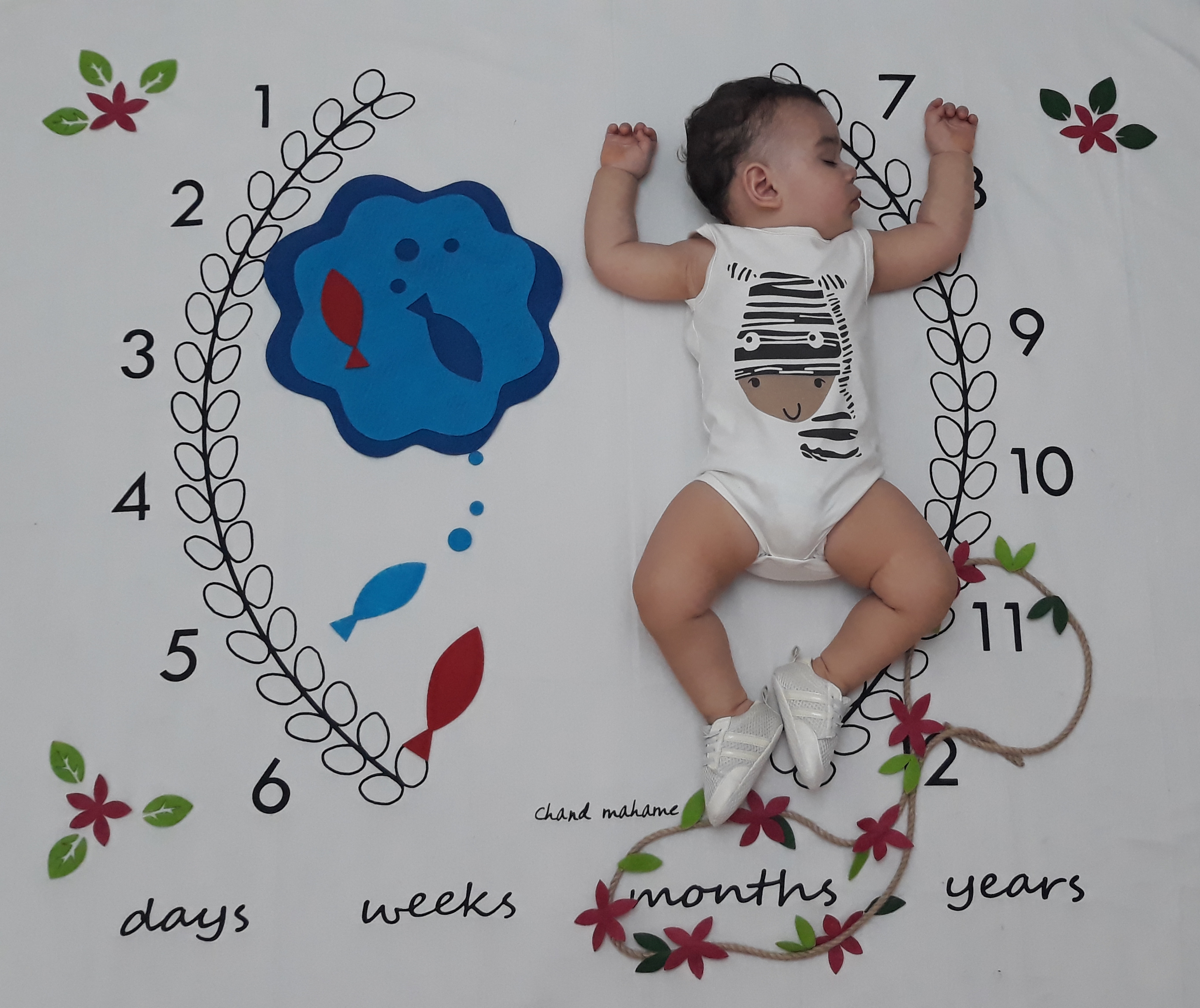 تم-و-تزیینات-بهار-12103