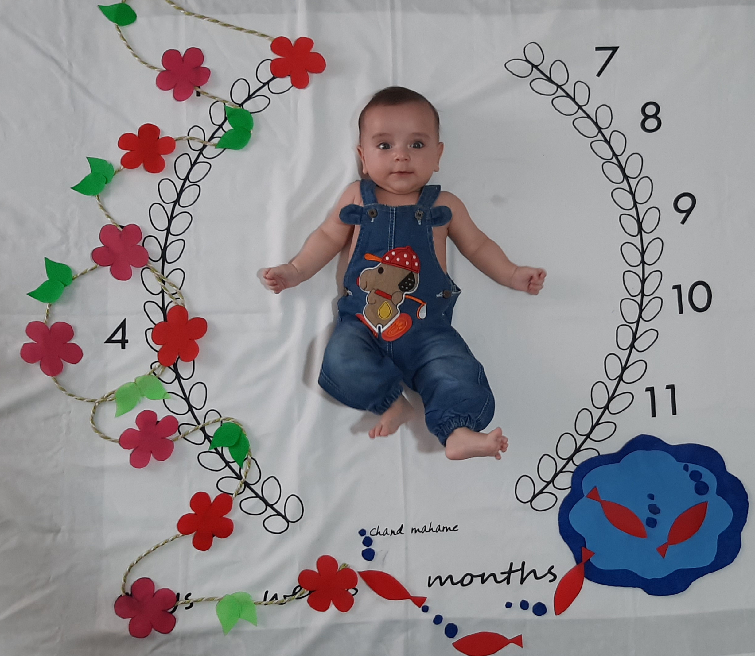 چهار ماهگی نوزاد سامیار حسن راد