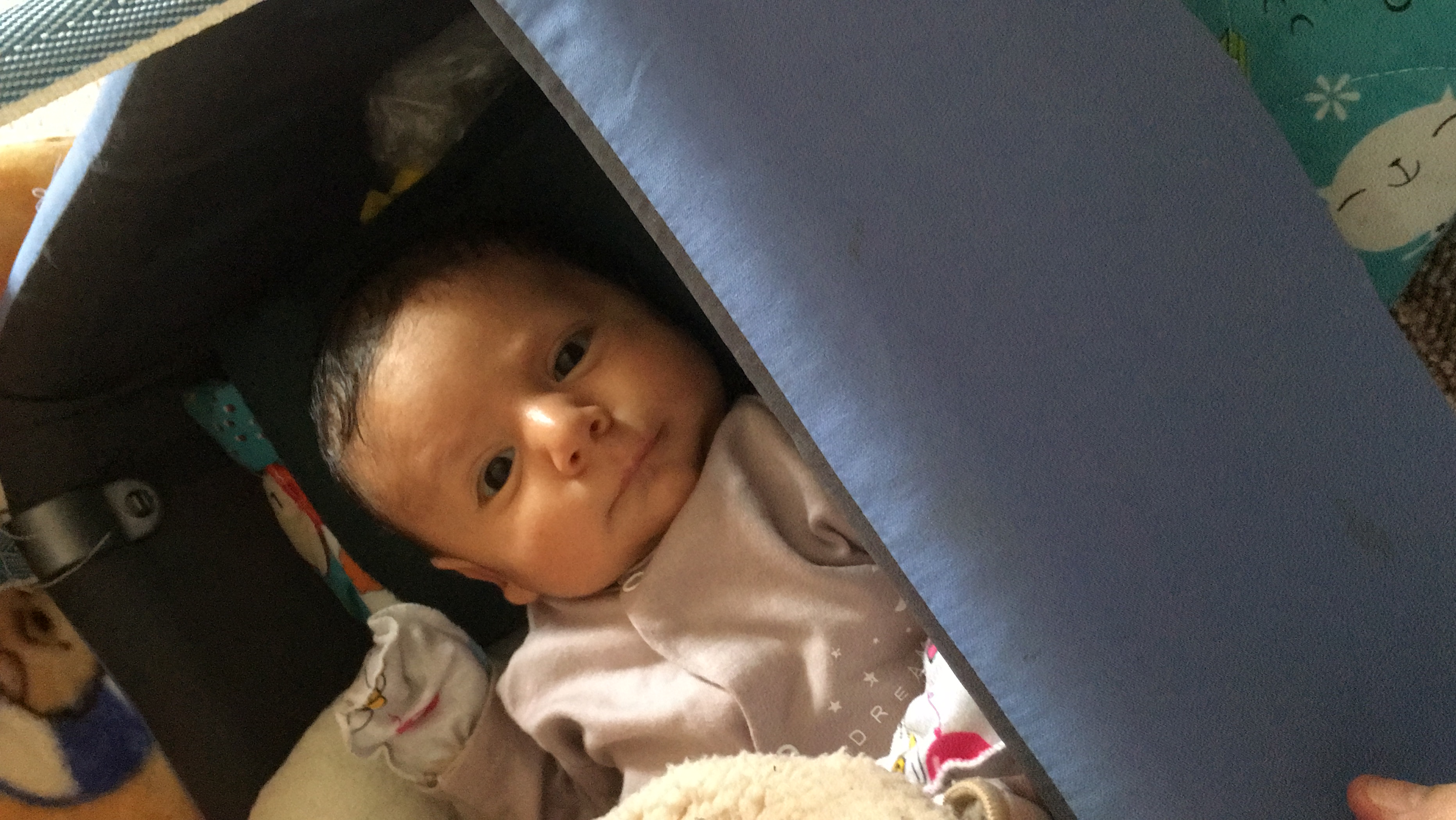 جشن ولنتاین کودک رادوين حق گو