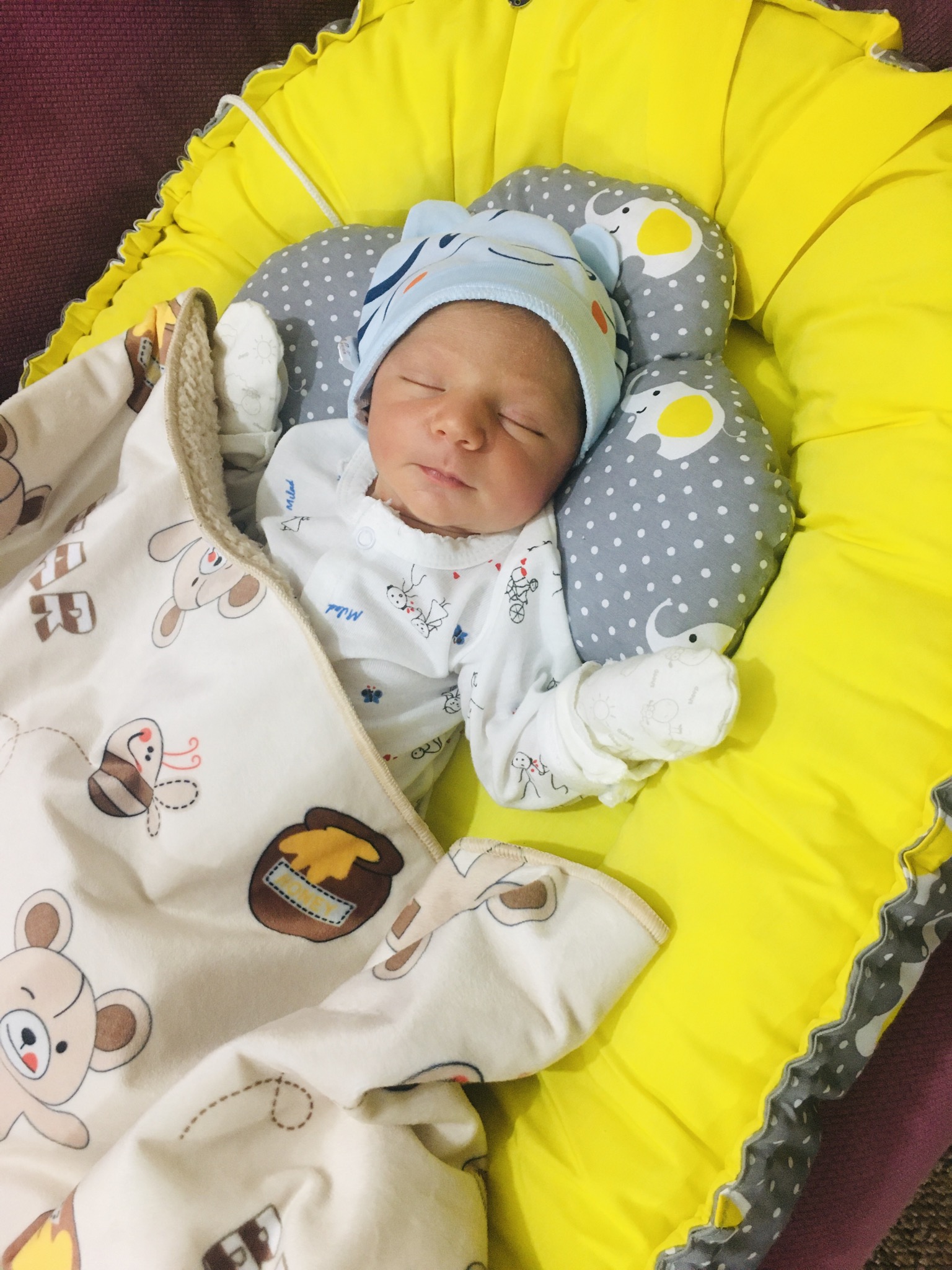 تم عکس زمستانی نوزاد رادوين حق گو