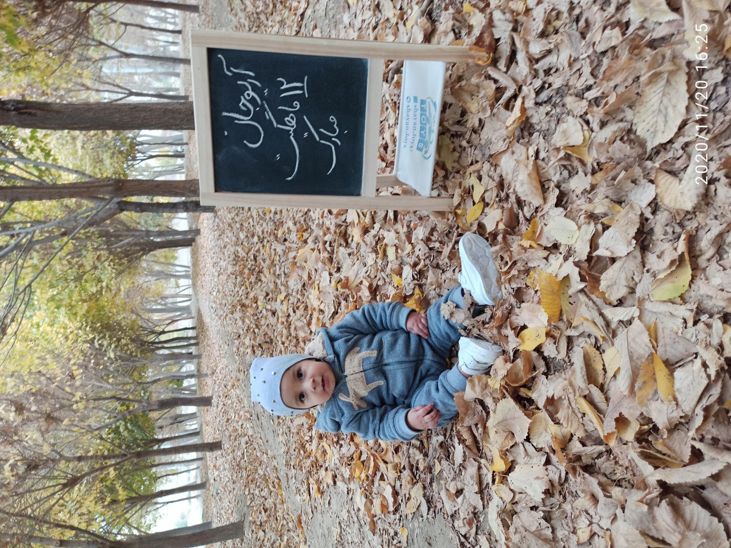 تولد یک سالگی کودک آریو برزن ظهرابی