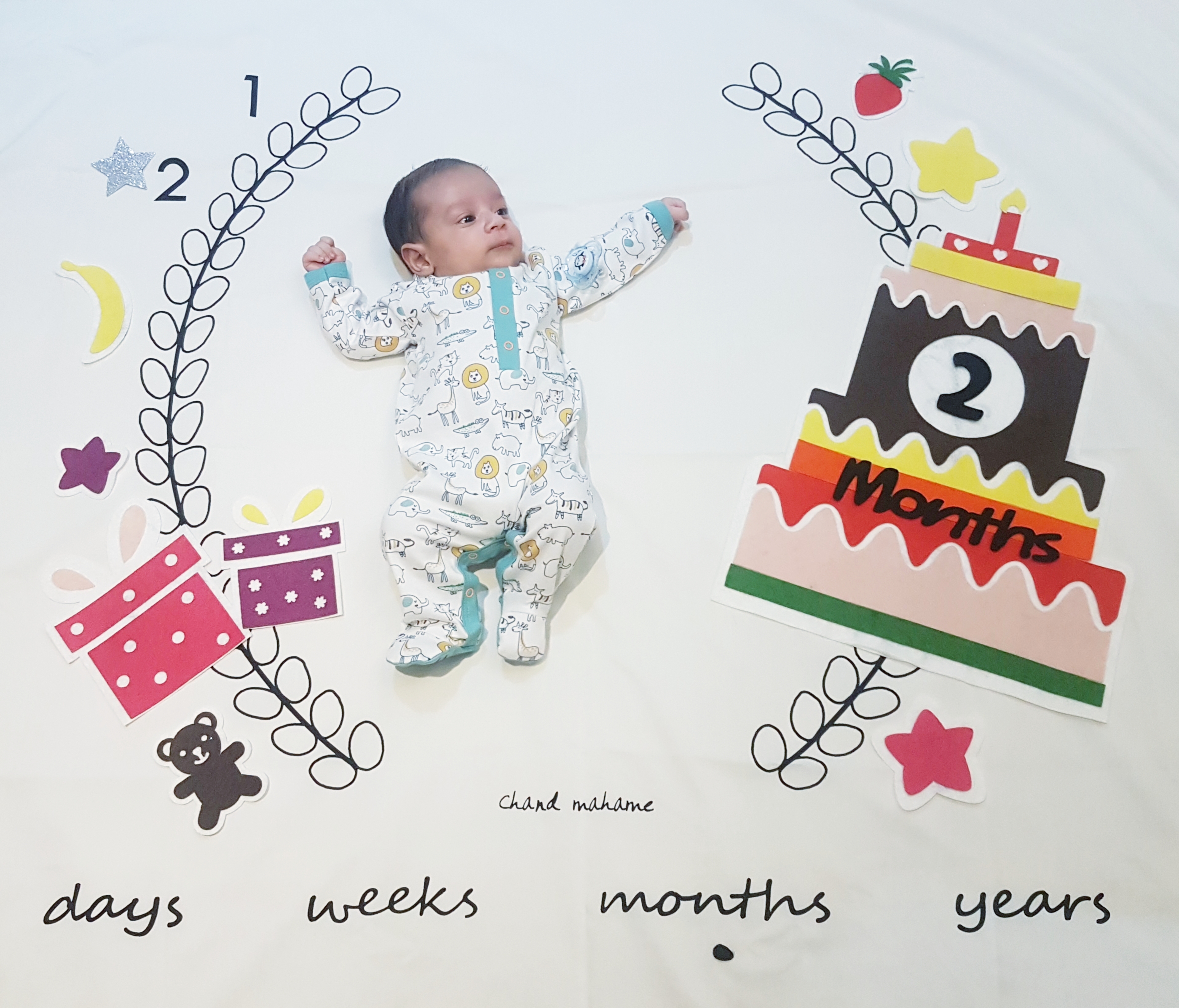 پارچه ماه شمار طرح شاخه زیتون ارشیا اکرمی