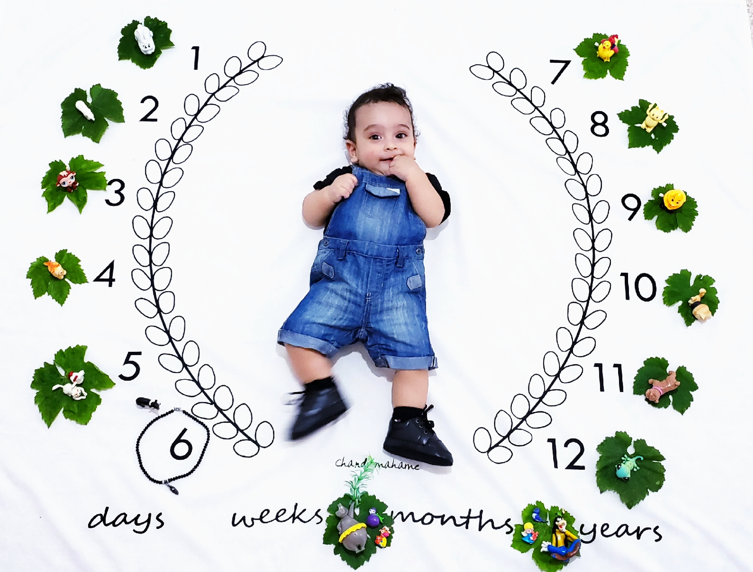 پارچه ماه شمار طرح شاخه زیتون شاهان امینی