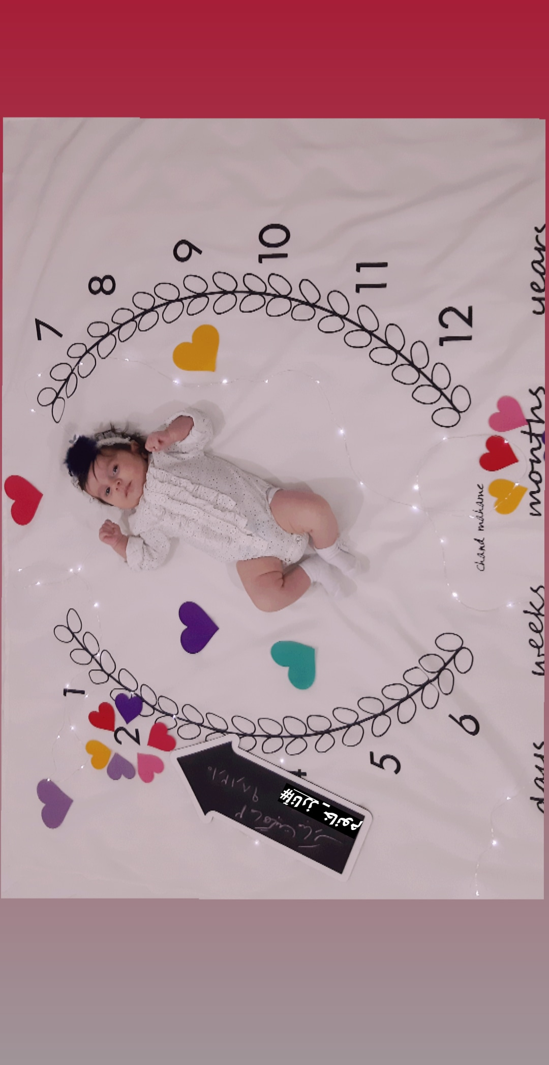 دو ماهگی نوزاد آنارز غریب زاده