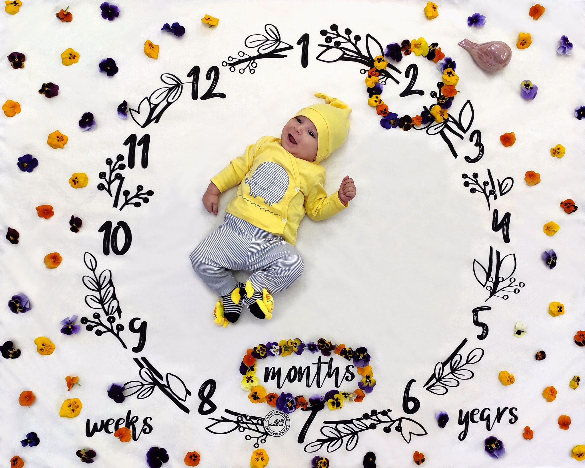 دو ماهگی نوزاد ايليا خسروي