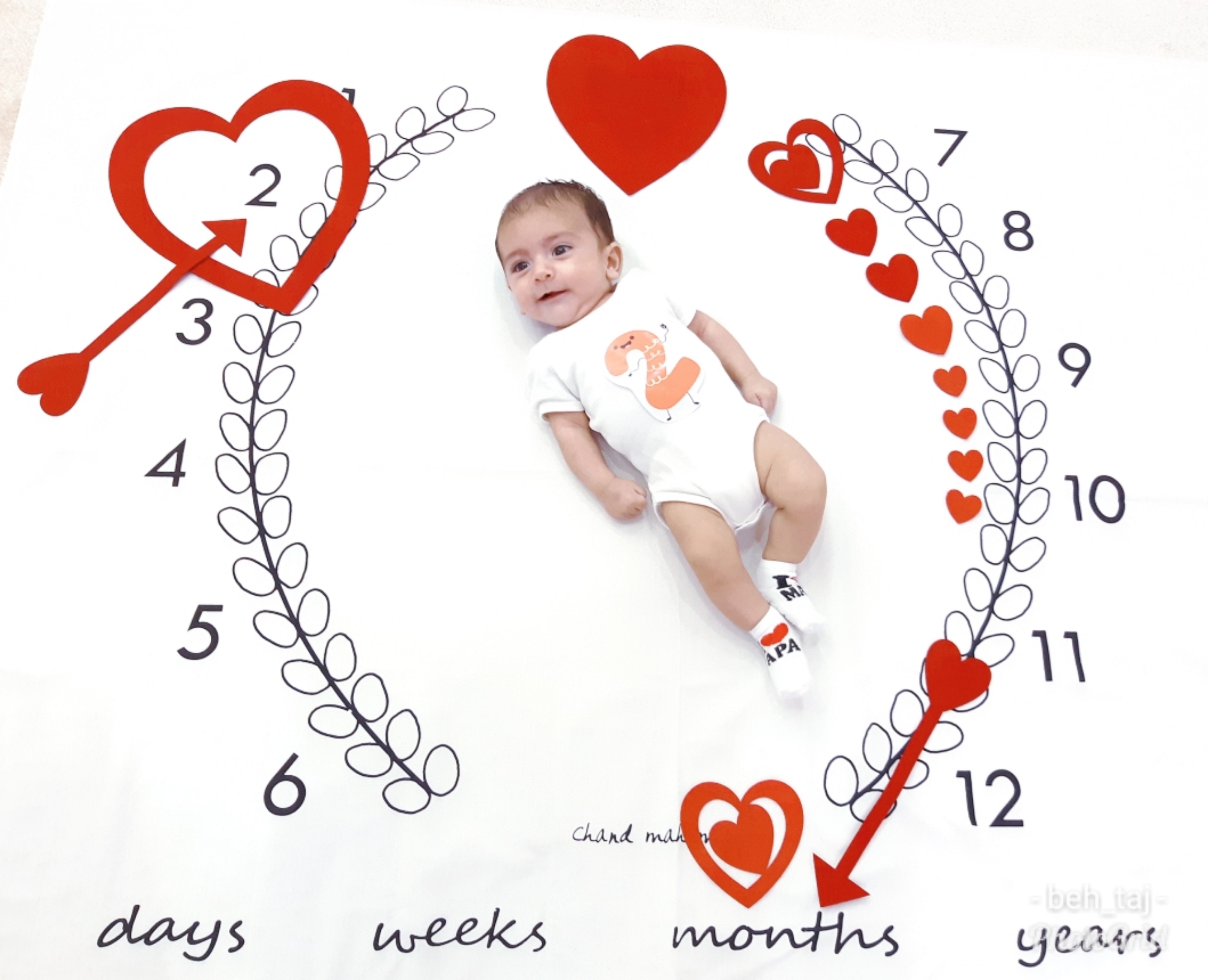 تم و تزیینات عاشقانه محمد رضوانی مقدم