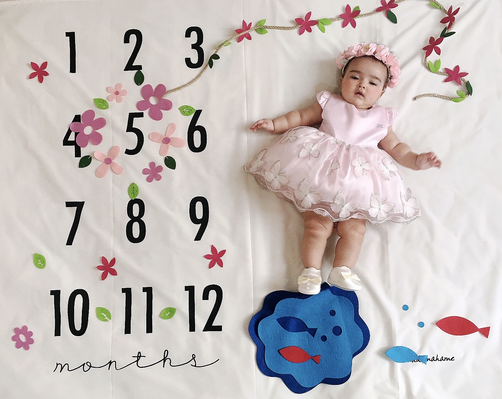 پنج ماهگی نوزاد ویانا کریمی