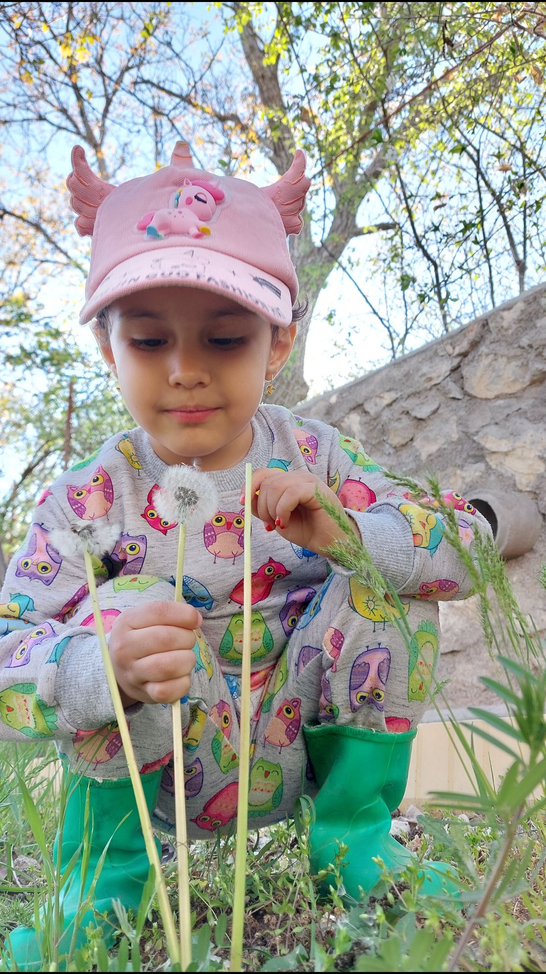 طبیعت همتا قیاسوند