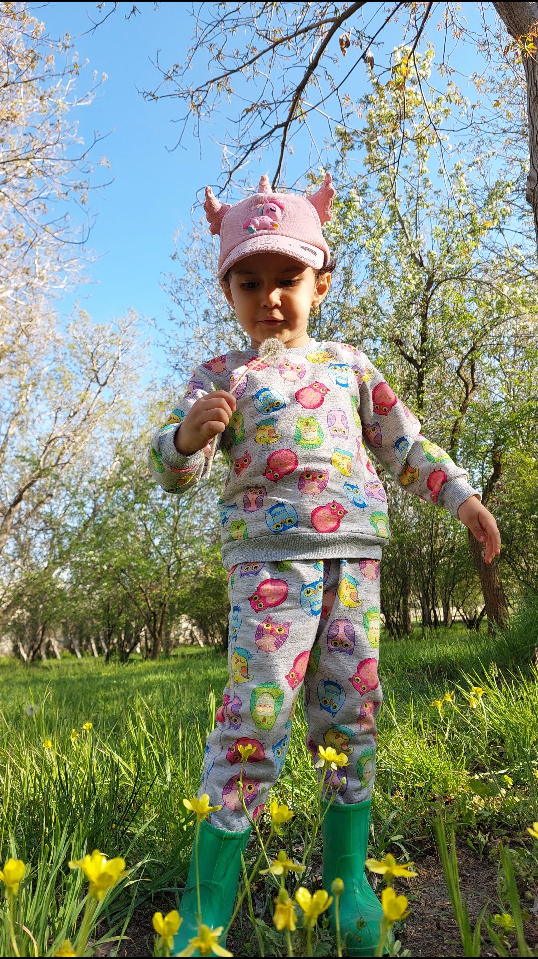 طبیعت همتا قیاسوند