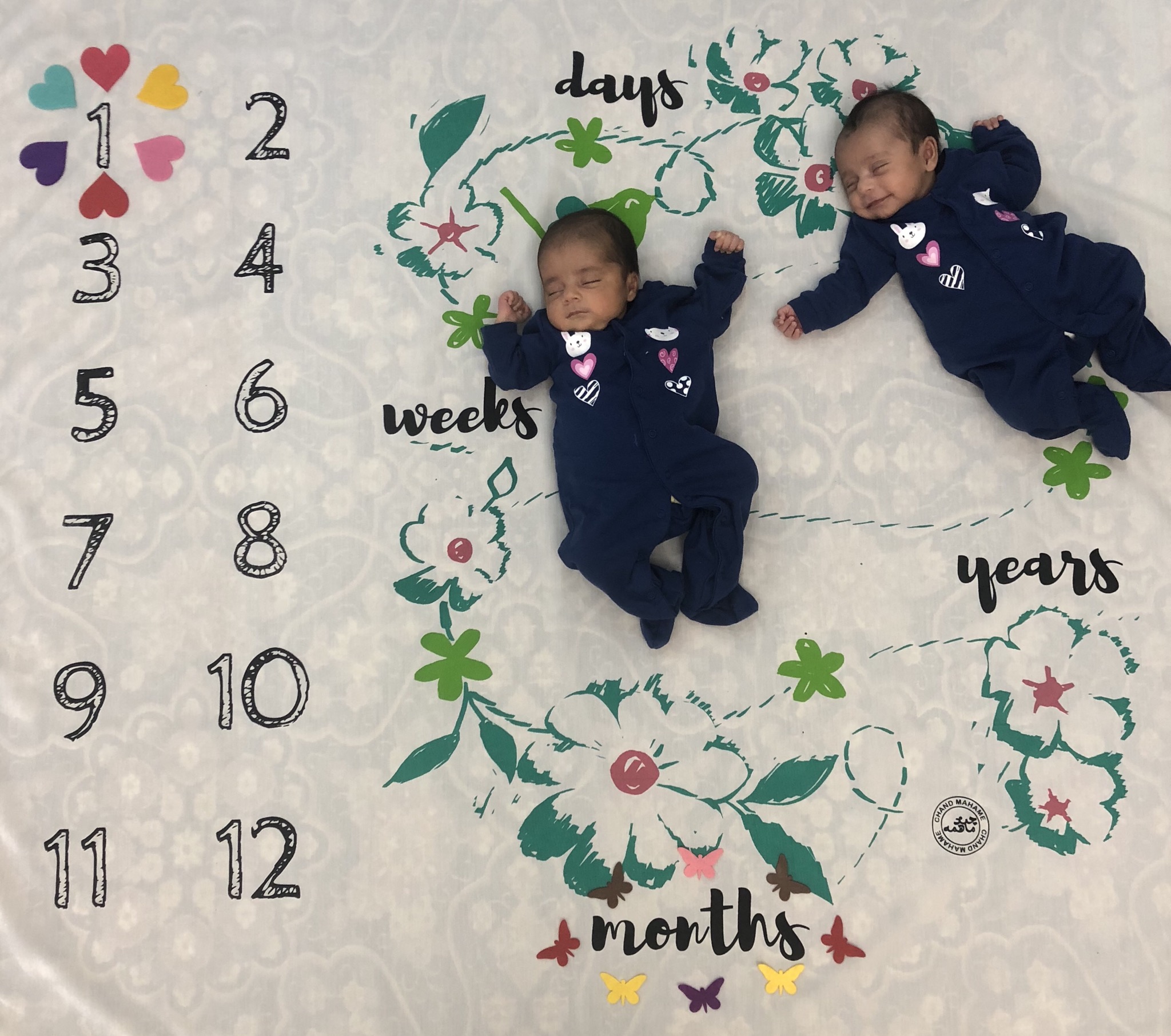 عکس نوزادان دوقلو فرمهر و فرماه  اسفندياري